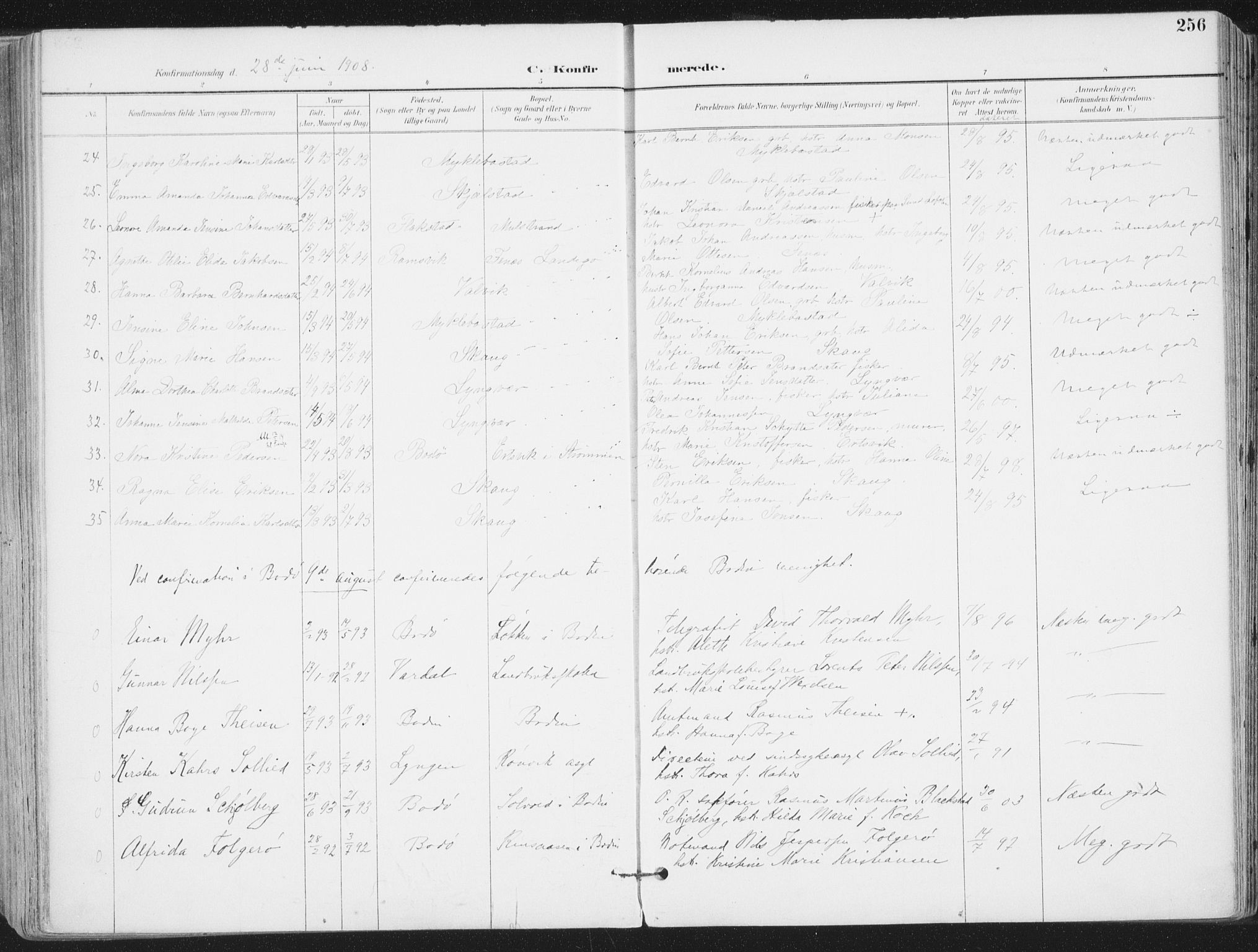 Ministerialprotokoller, klokkerbøker og fødselsregistre - Nordland, SAT/A-1459/802/L0055: Ministerialbok nr. 802A02, 1894-1915, s. 256