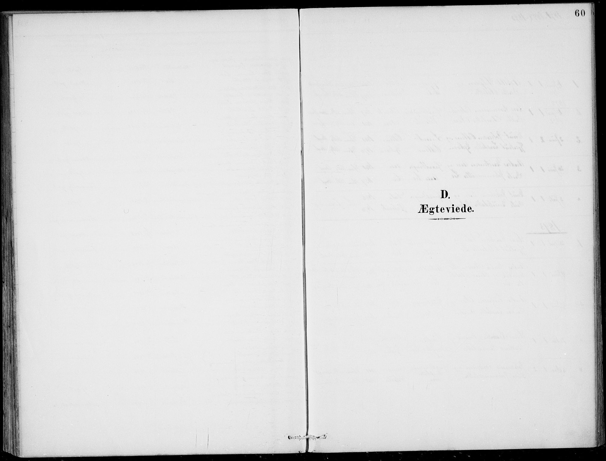 Vik sokneprestembete, AV/SAB-A-81501/H/Haa/Haac/L0002: Ministerialbok nr. C  2, 1891-1910, s. 60