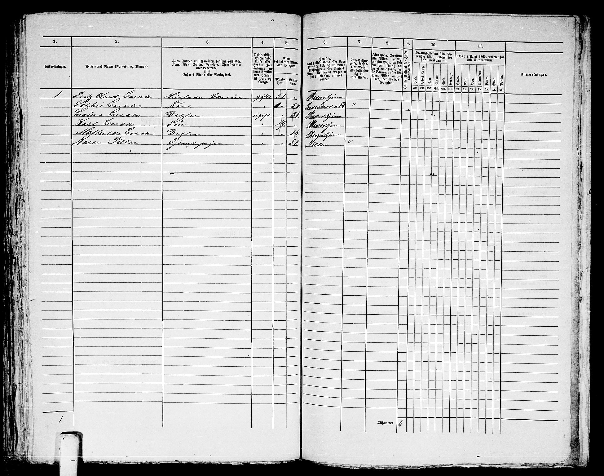 RA, Folketelling 1865 for 1601 Trondheim kjøpstad, 1865, s. 864