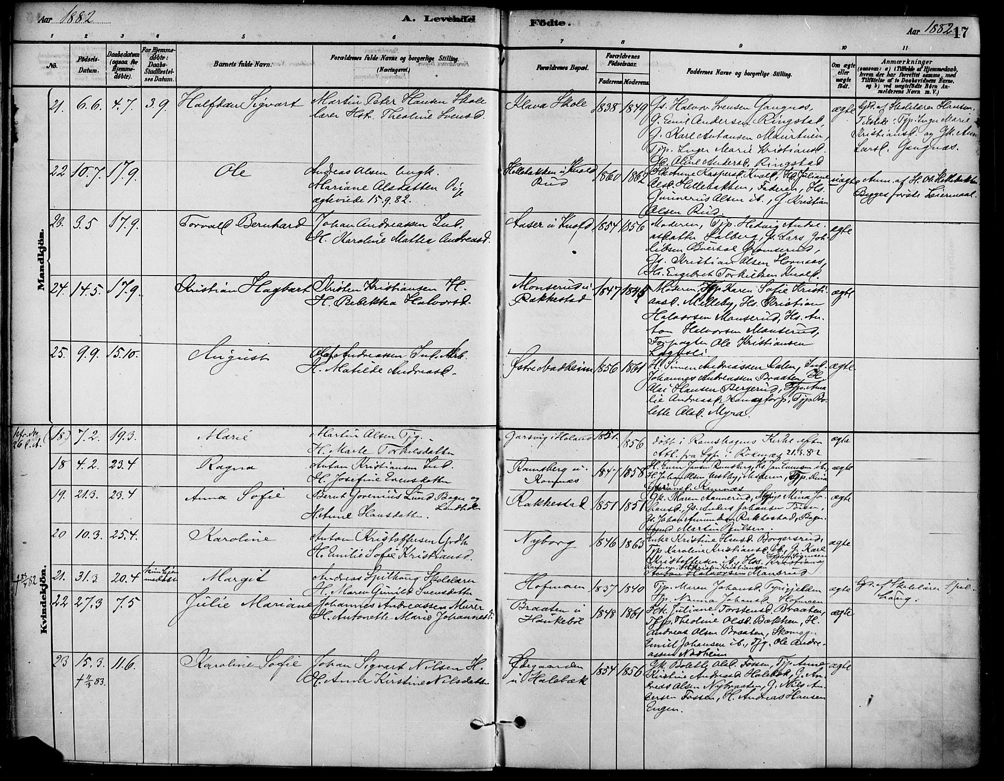 Høland prestekontor Kirkebøker, AV/SAO-A-10346a/F/Fa/L0013: Ministerialbok nr. I 13, 1880-1897, s. 17