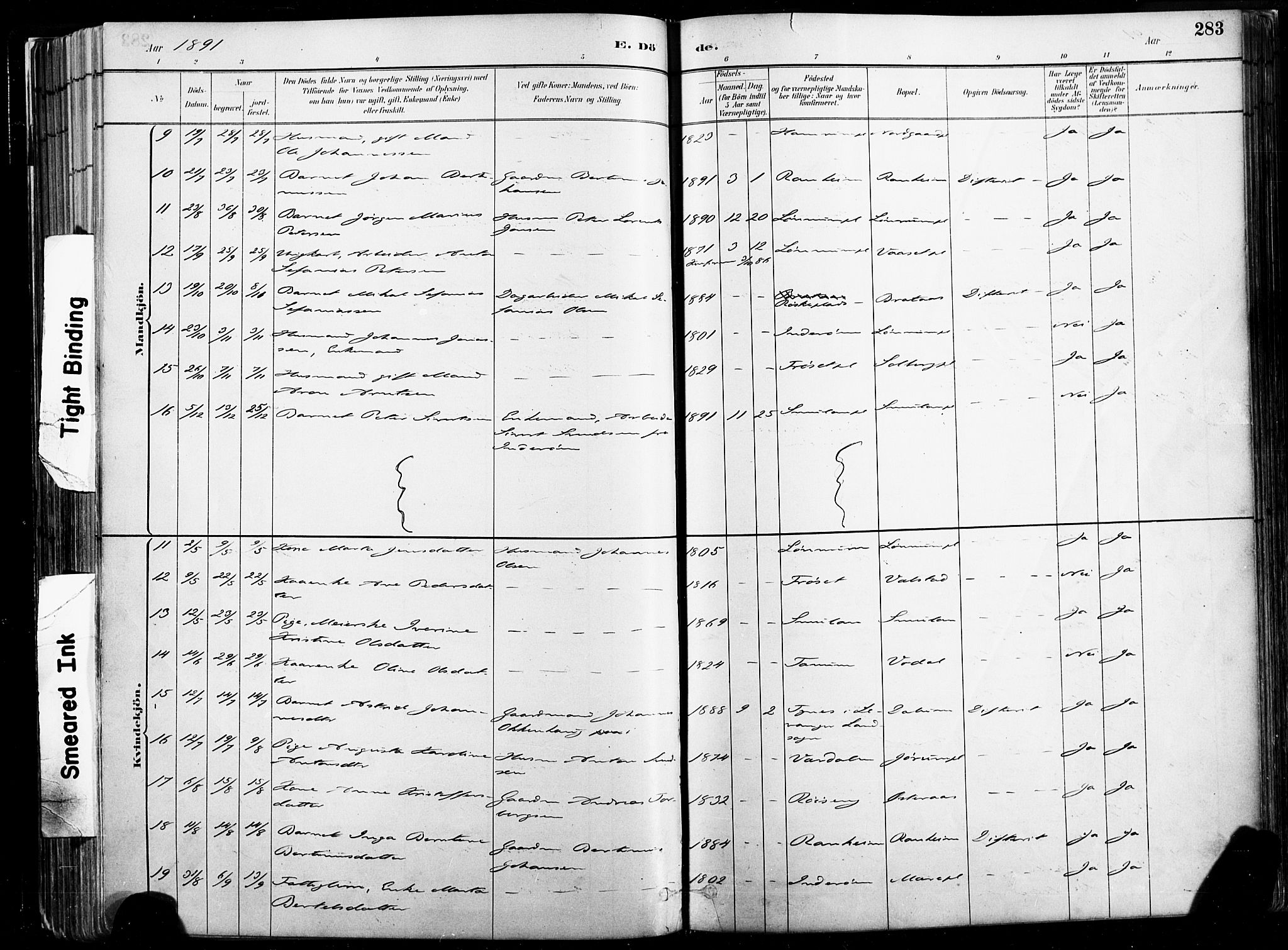 Ministerialprotokoller, klokkerbøker og fødselsregistre - Nord-Trøndelag, SAT/A-1458/735/L0351: Ministerialbok nr. 735A10, 1884-1908, s. 283