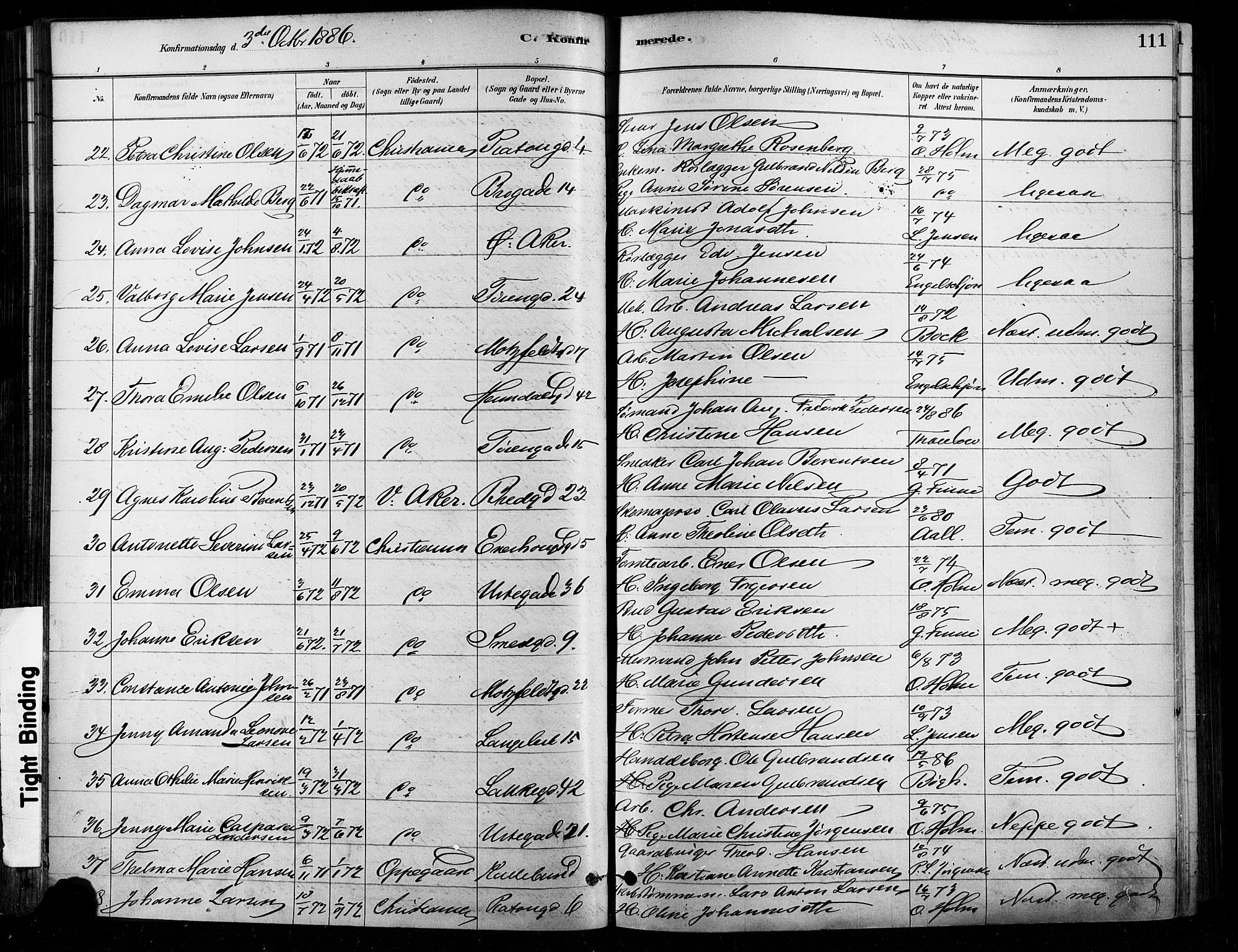 Grønland prestekontor Kirkebøker, AV/SAO-A-10848/F/Fa/L0008: Ministerialbok nr. 8, 1881-1893, s. 111