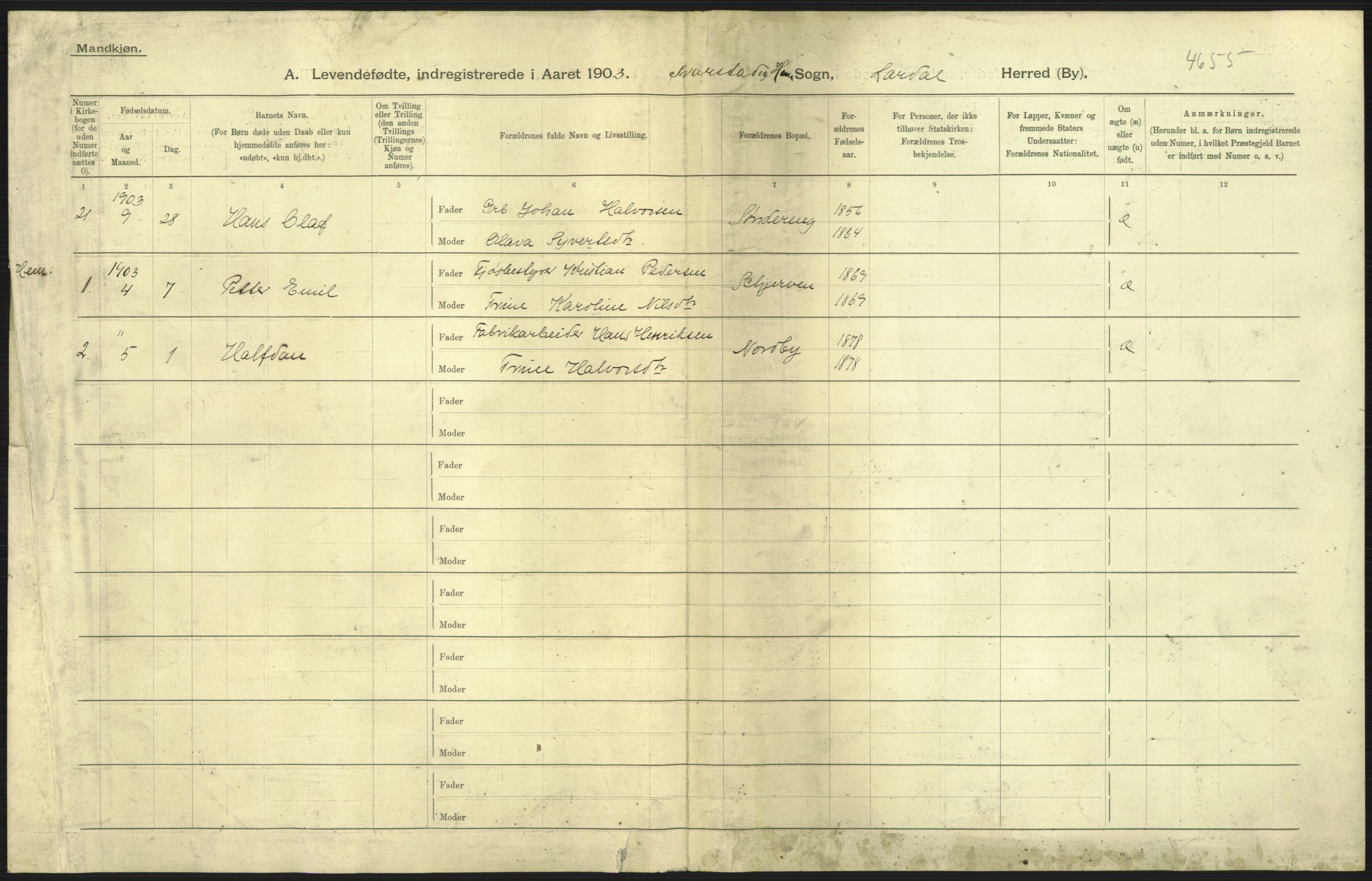 Statistisk sentralbyrå, Sosiodemografiske emner, Befolkning, RA/S-2228/D/Df/Dfa/Dfaa/L0008: Jarlsberg og Larvik amt: Fødte, gifte, døde, 1903, s. 3