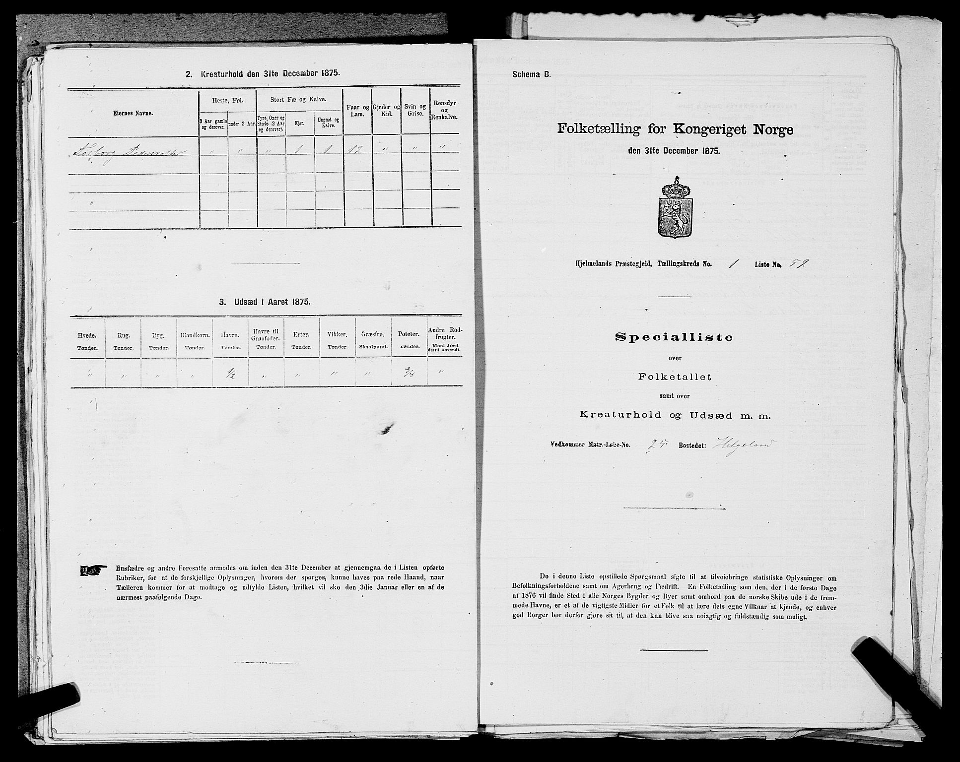 SAST, Folketelling 1875 for 1133P Hjelmeland prestegjeld, 1875, s. 189