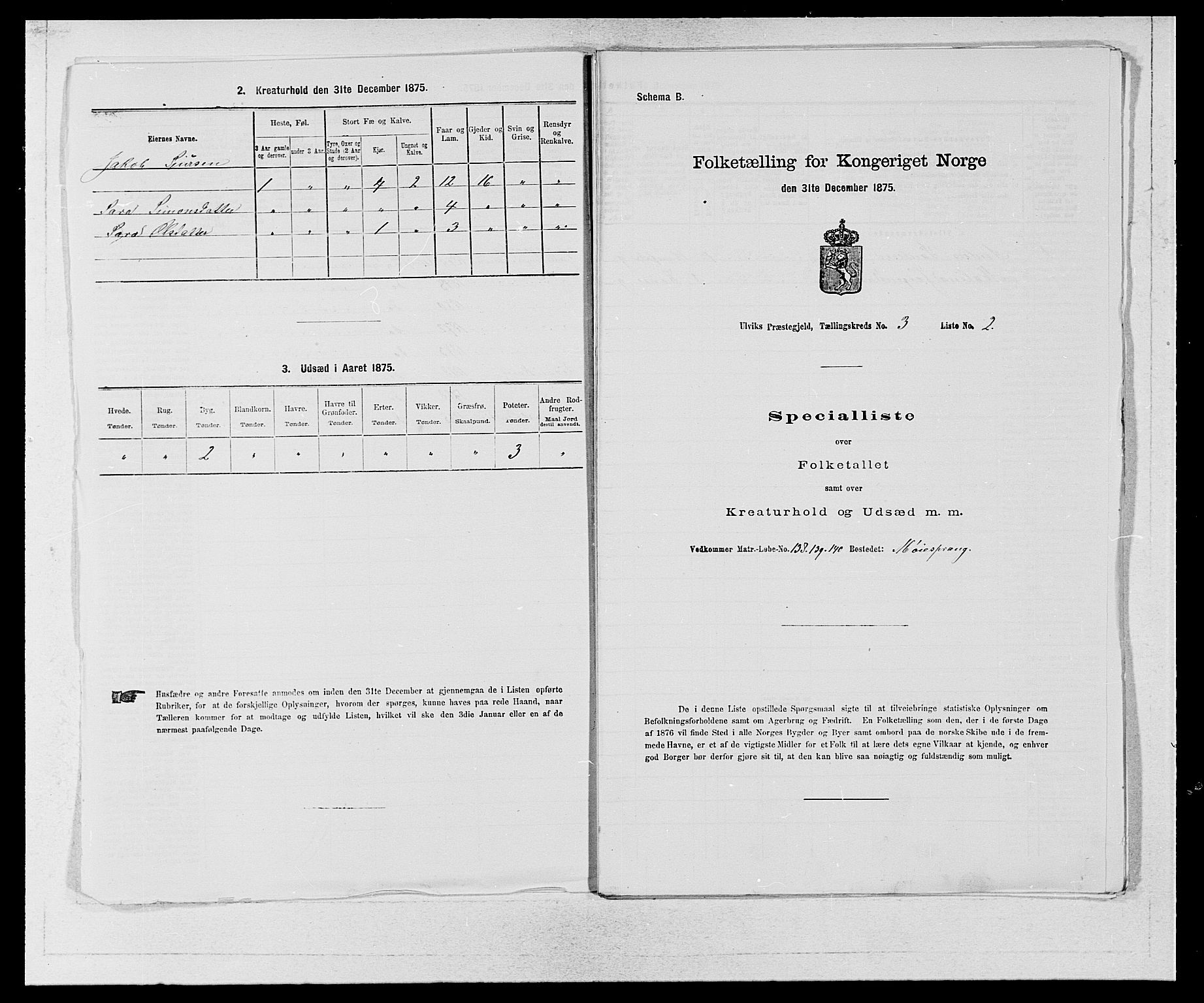 SAB, Folketelling 1875 for 1233P Ulvik prestegjeld, 1875, s. 492