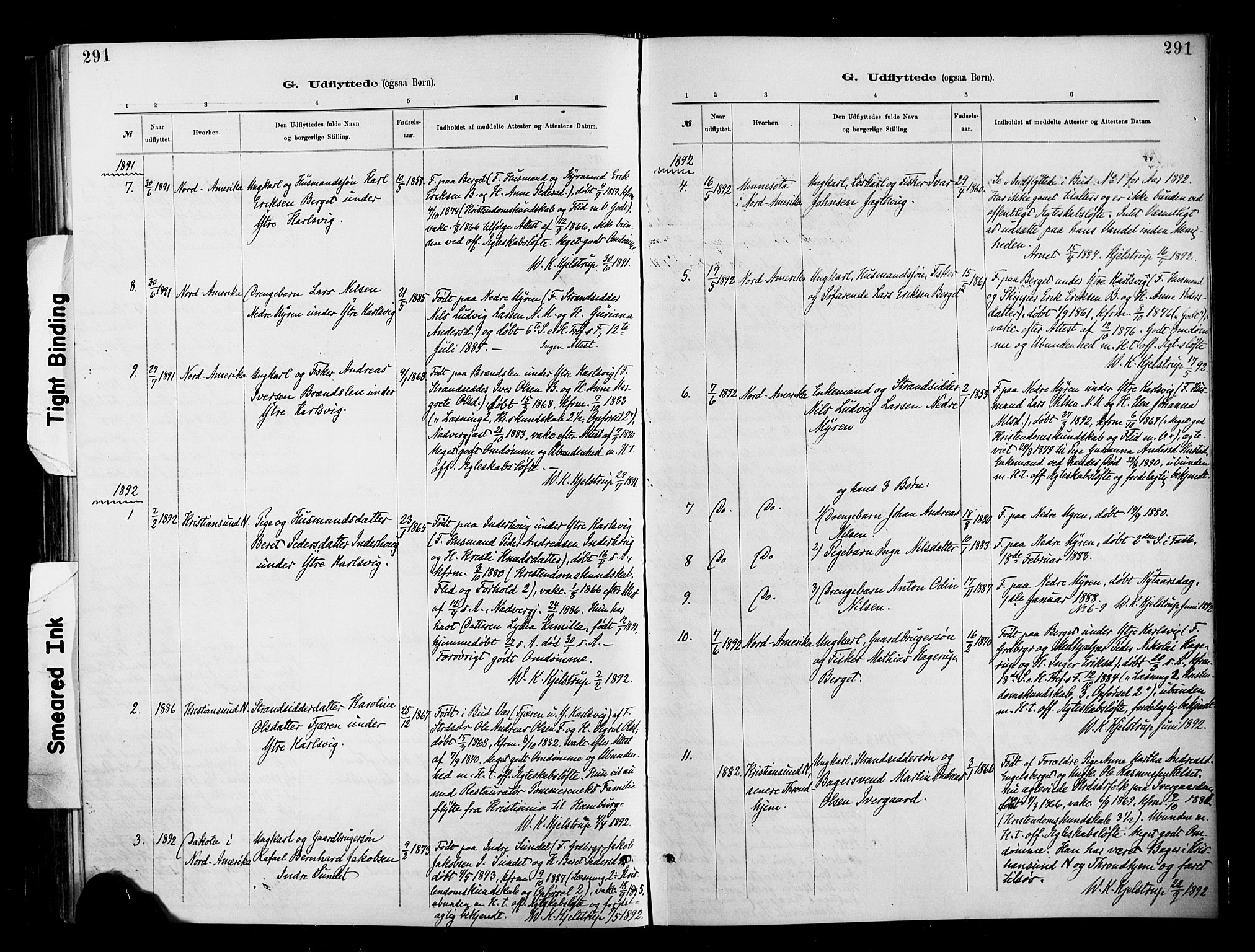 Ministerialprotokoller, klokkerbøker og fødselsregistre - Møre og Romsdal, AV/SAT-A-1454/566/L0769: Ministerialbok nr. 566A08, 1881-1903, s. 291