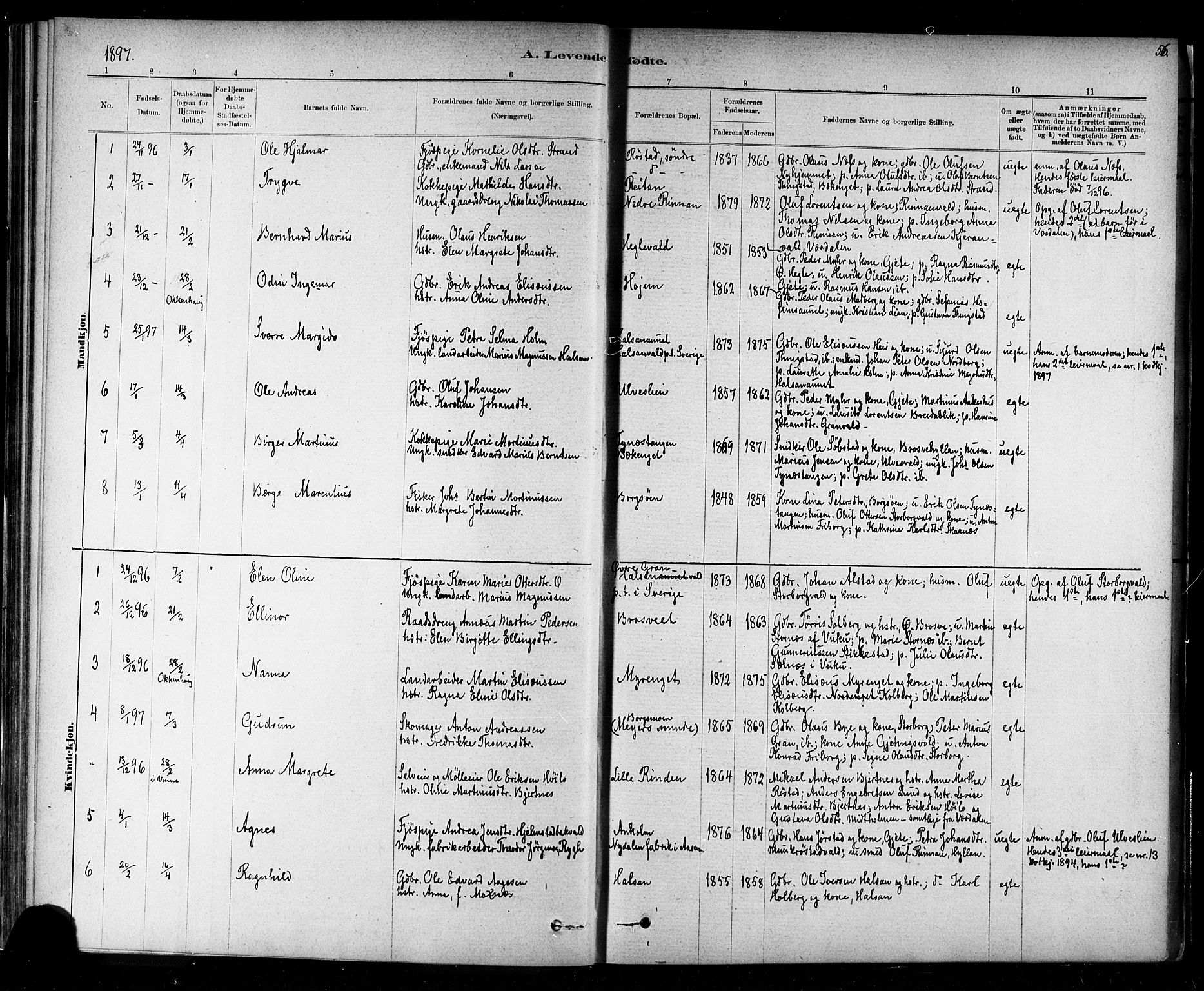 Ministerialprotokoller, klokkerbøker og fødselsregistre - Nord-Trøndelag, AV/SAT-A-1458/721/L0208: Klokkerbok nr. 721C01, 1880-1917, s. 56