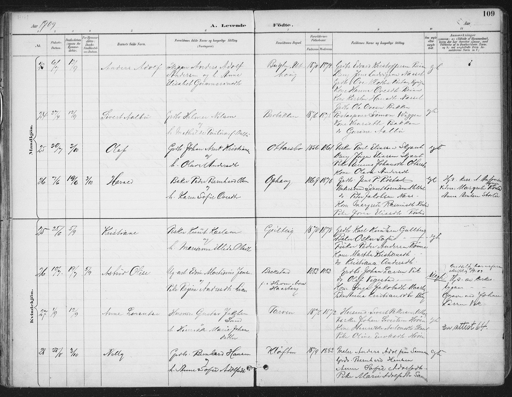 Ministerialprotokoller, klokkerbøker og fødselsregistre - Sør-Trøndelag, SAT/A-1456/659/L0743: Ministerialbok nr. 659A13, 1893-1910, s. 109