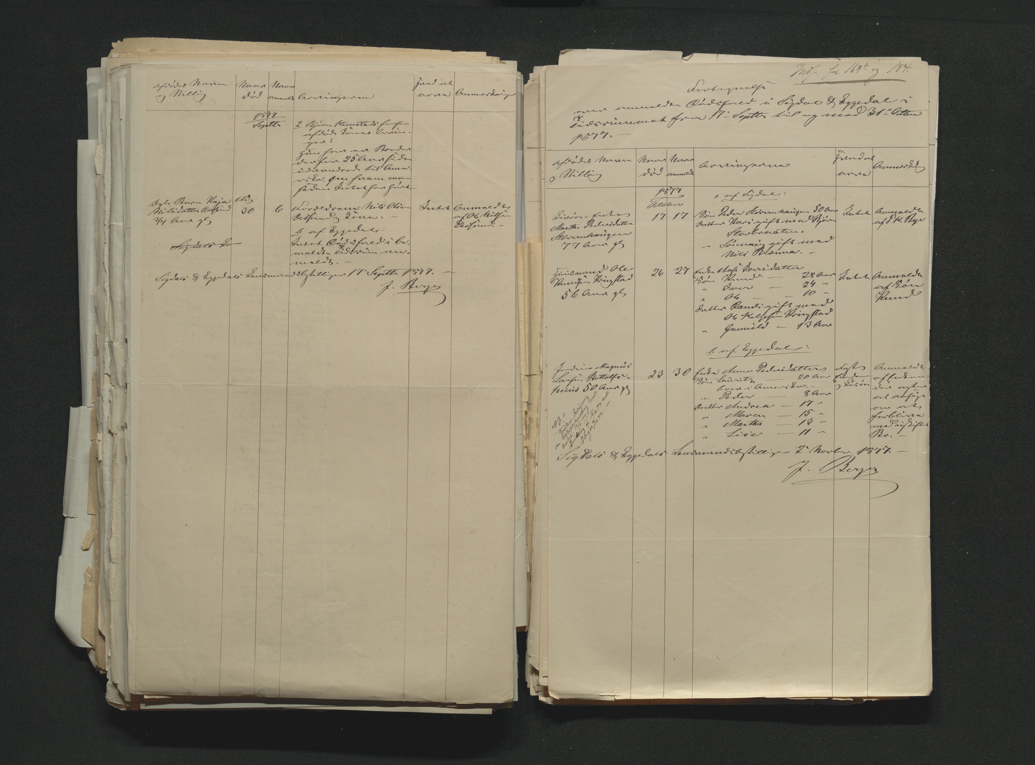 Eiker, Modum og Sigdal sorenskriveri, AV/SAKO-A-123/H/Ha/Hab/L0014: Dødsfallsmeldinger, 1874-1877, s. 722