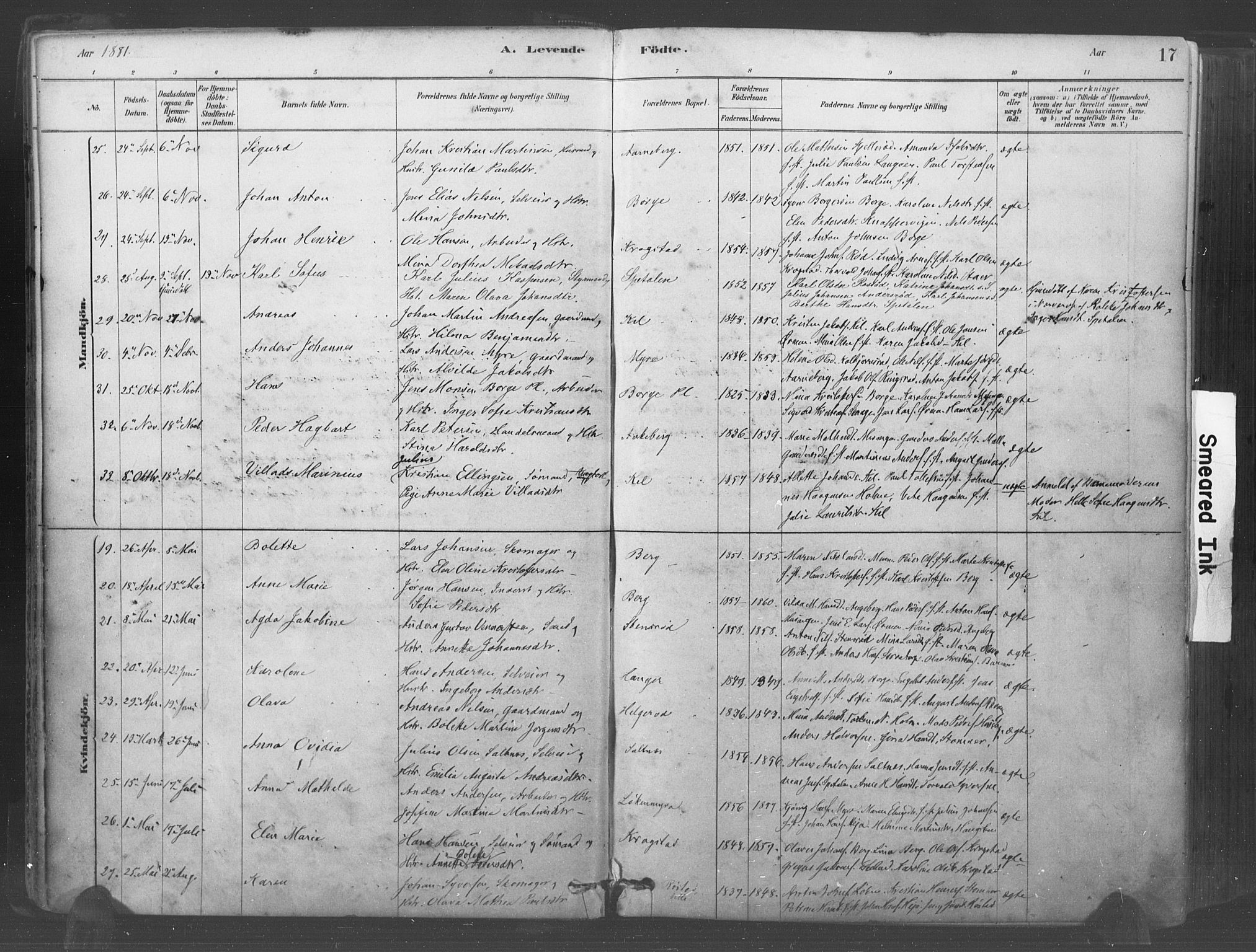 Råde prestekontor kirkebøker, AV/SAO-A-2009/F/Fa/L0007: Ministerialbok nr. 7, 1878-1902, s. 17