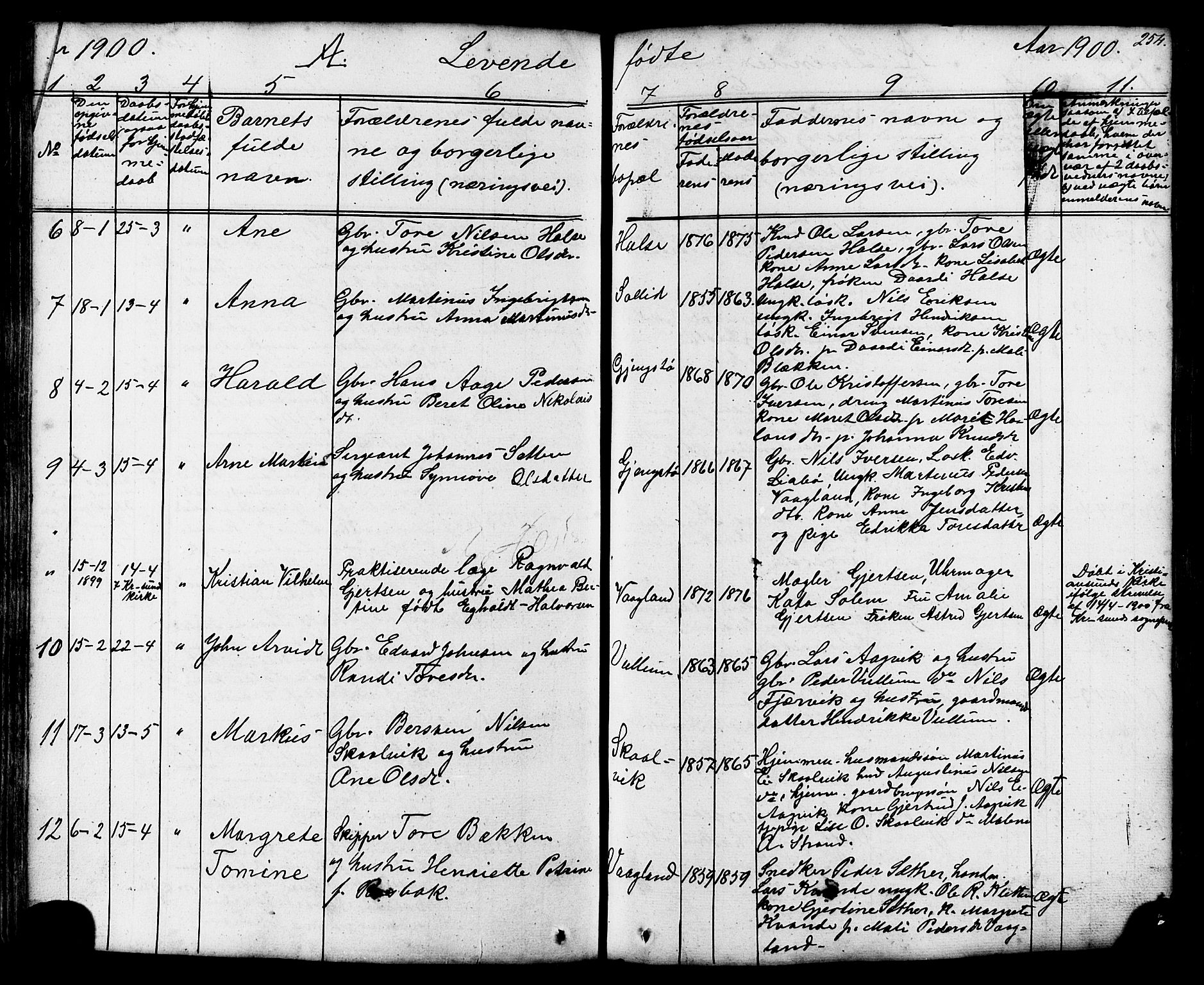 Ministerialprotokoller, klokkerbøker og fødselsregistre - Møre og Romsdal, SAT/A-1454/576/L0890: Klokkerbok nr. 576C01, 1837-1908, s. 254