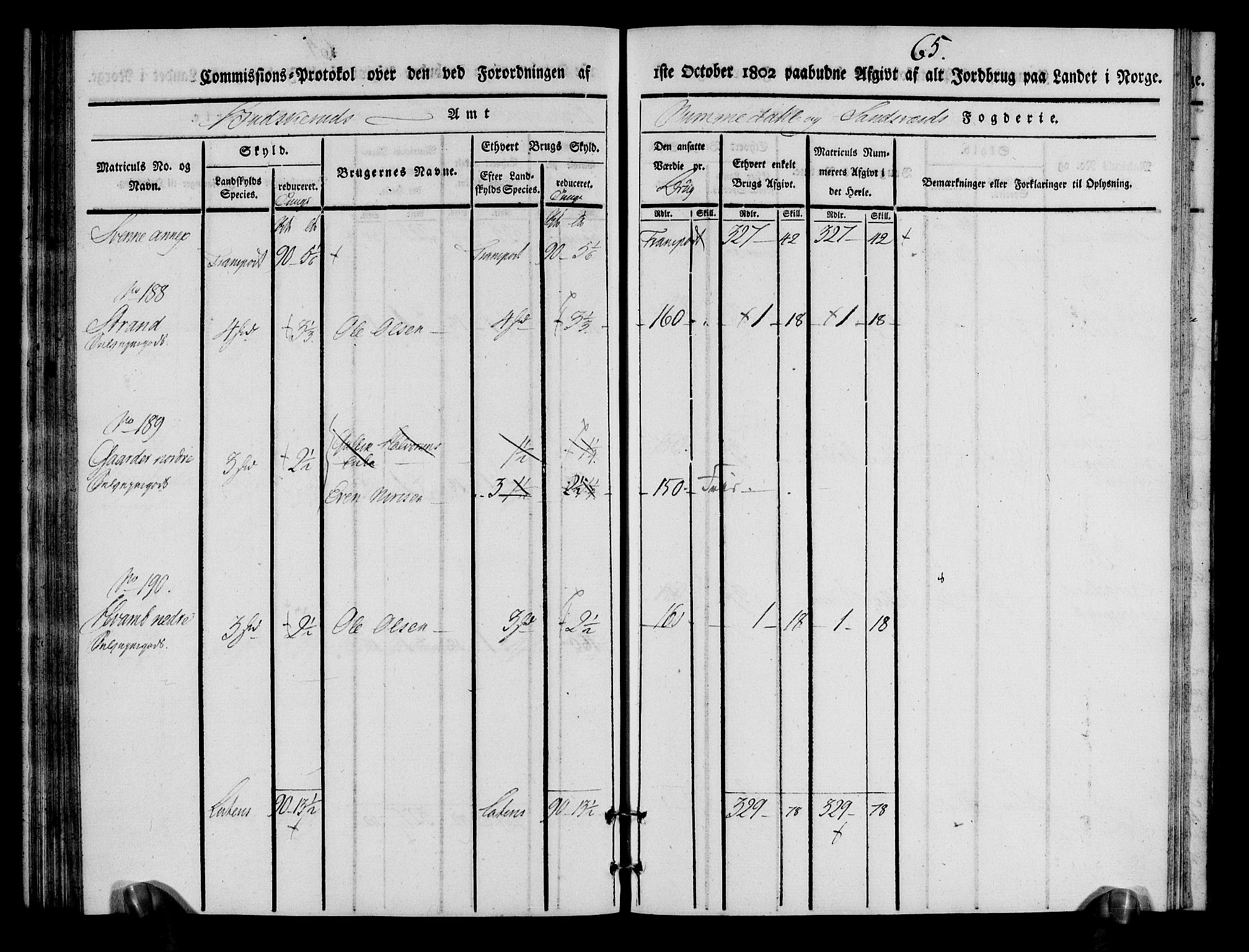 Rentekammeret inntil 1814, Realistisk ordnet avdeling, AV/RA-EA-4070/N/Ne/Nea/L0055: Numedal og Sandsvær fogderi. Kommisjonsprotokoll for Flesberg prestegjeld, 1803, s. 66
