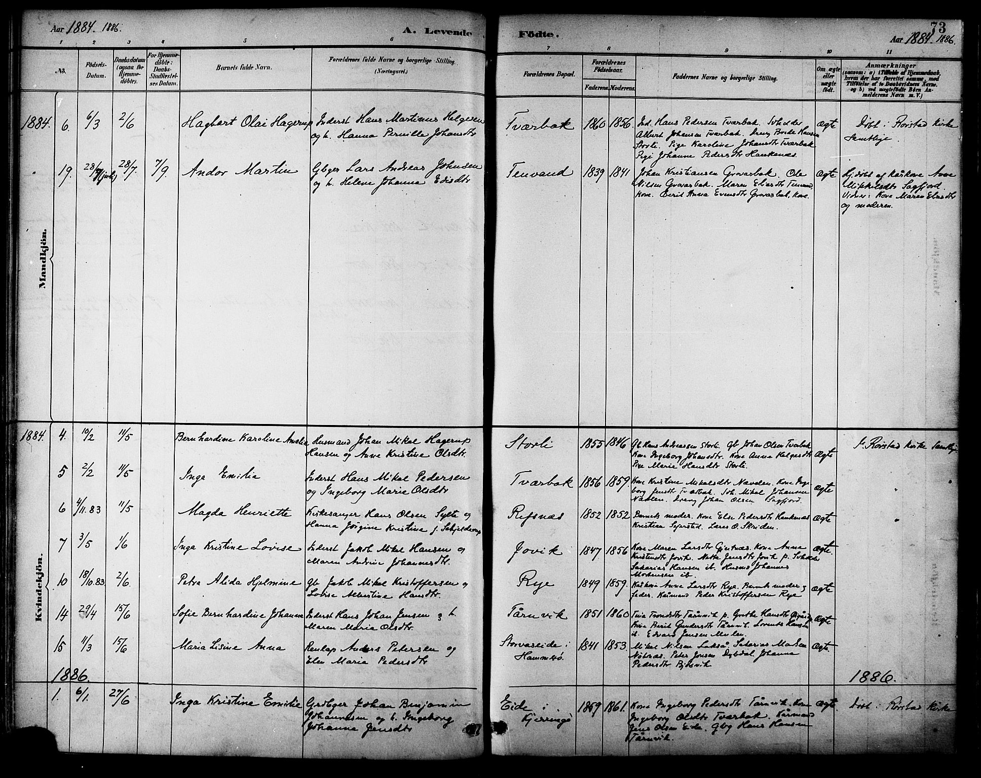 Ministerialprotokoller, klokkerbøker og fødselsregistre - Nordland, AV/SAT-A-1459/854/L0778: Ministerialbok nr. 854A01 /2, 1881-1888, s. 73