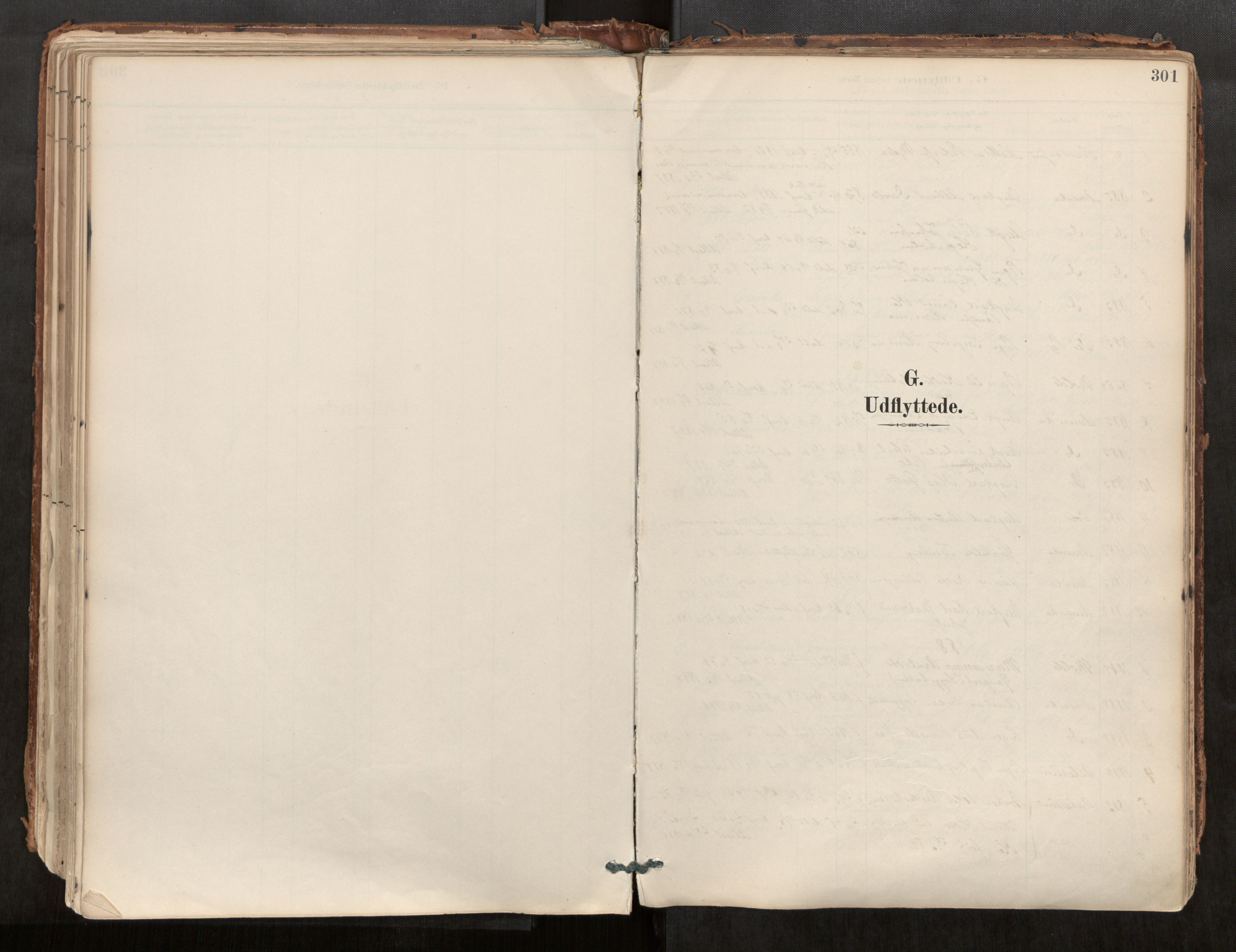 Ministerialprotokoller, klokkerbøker og fødselsregistre - Møre og Romsdal, AV/SAT-A-1454/544/L0585: Ministerialbok nr. 544A06, 1887-1924, s. 301