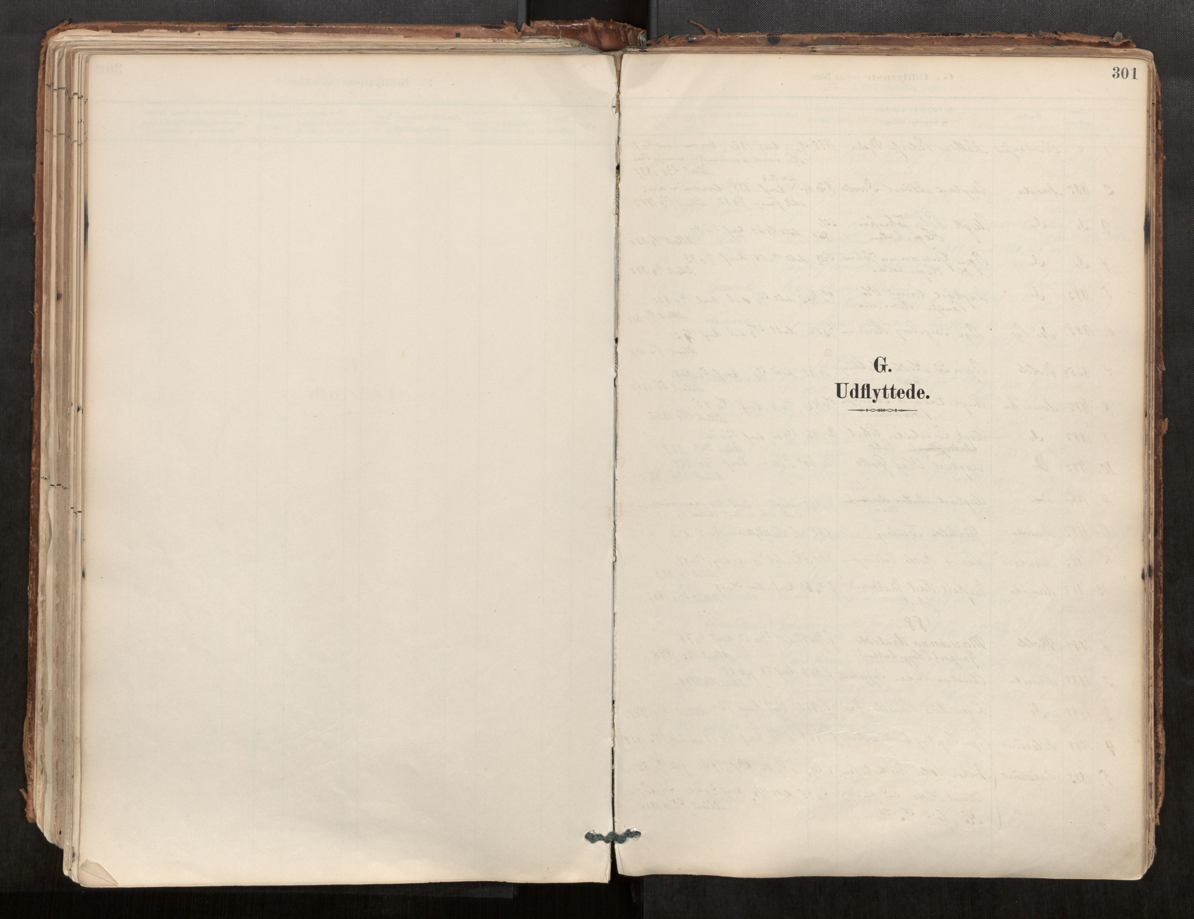 Ministerialprotokoller, klokkerbøker og fødselsregistre - Møre og Romsdal, SAT/A-1454/544/L0585: Ministerialbok nr. 544A06, 1887-1924, s. 301