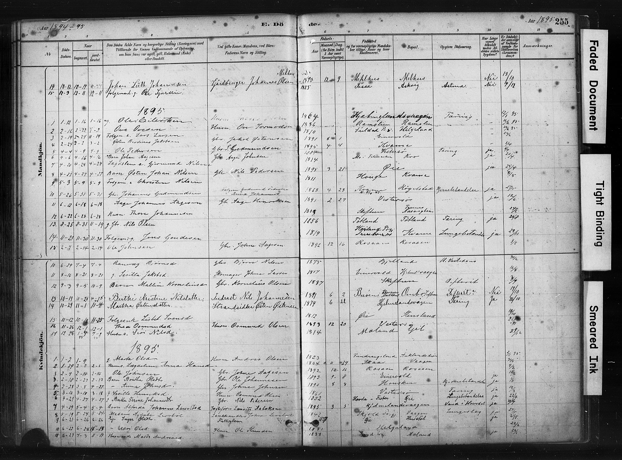 Hjelmeland sokneprestkontor, SAST/A-101843/01/IV/L0014: Ministerialbok nr. A 14, 1879-1900, s. 255