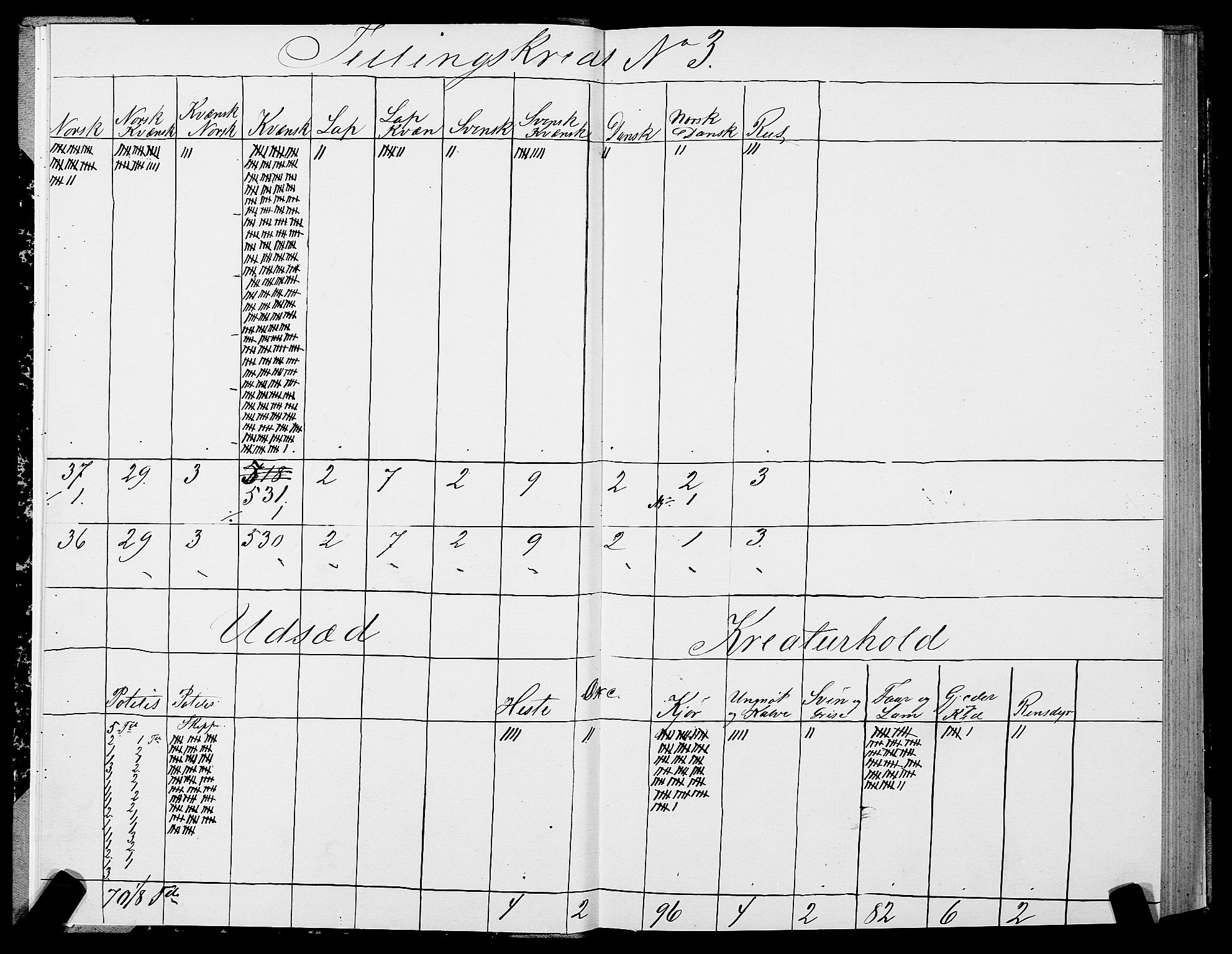 SATØ, Folketelling 1875 for 2003B Vadsø prestegjeld, Vadsø kjøpstad, 1875