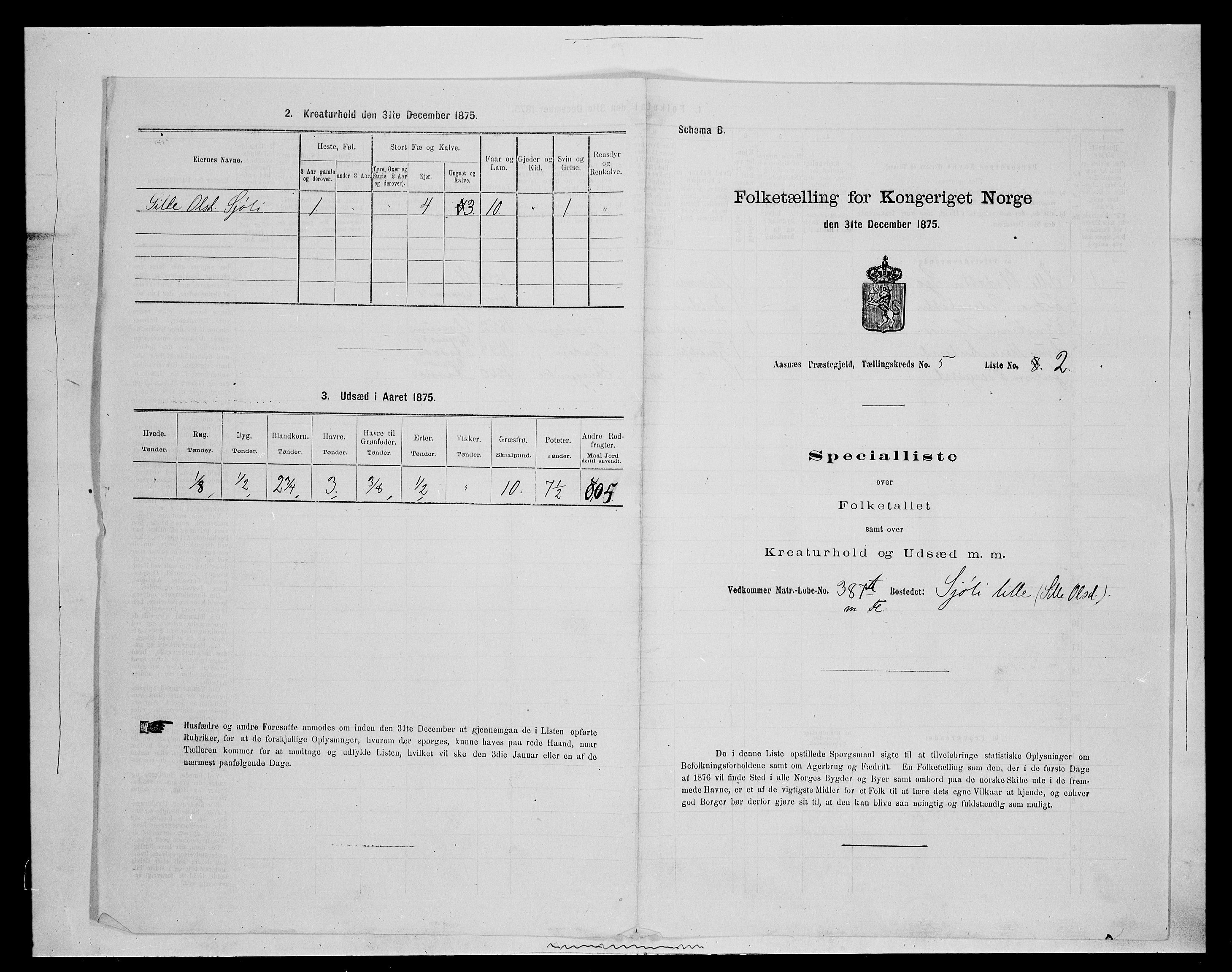 SAH, Folketelling 1875 for 0425P Åsnes prestegjeld, 1875, s. 699