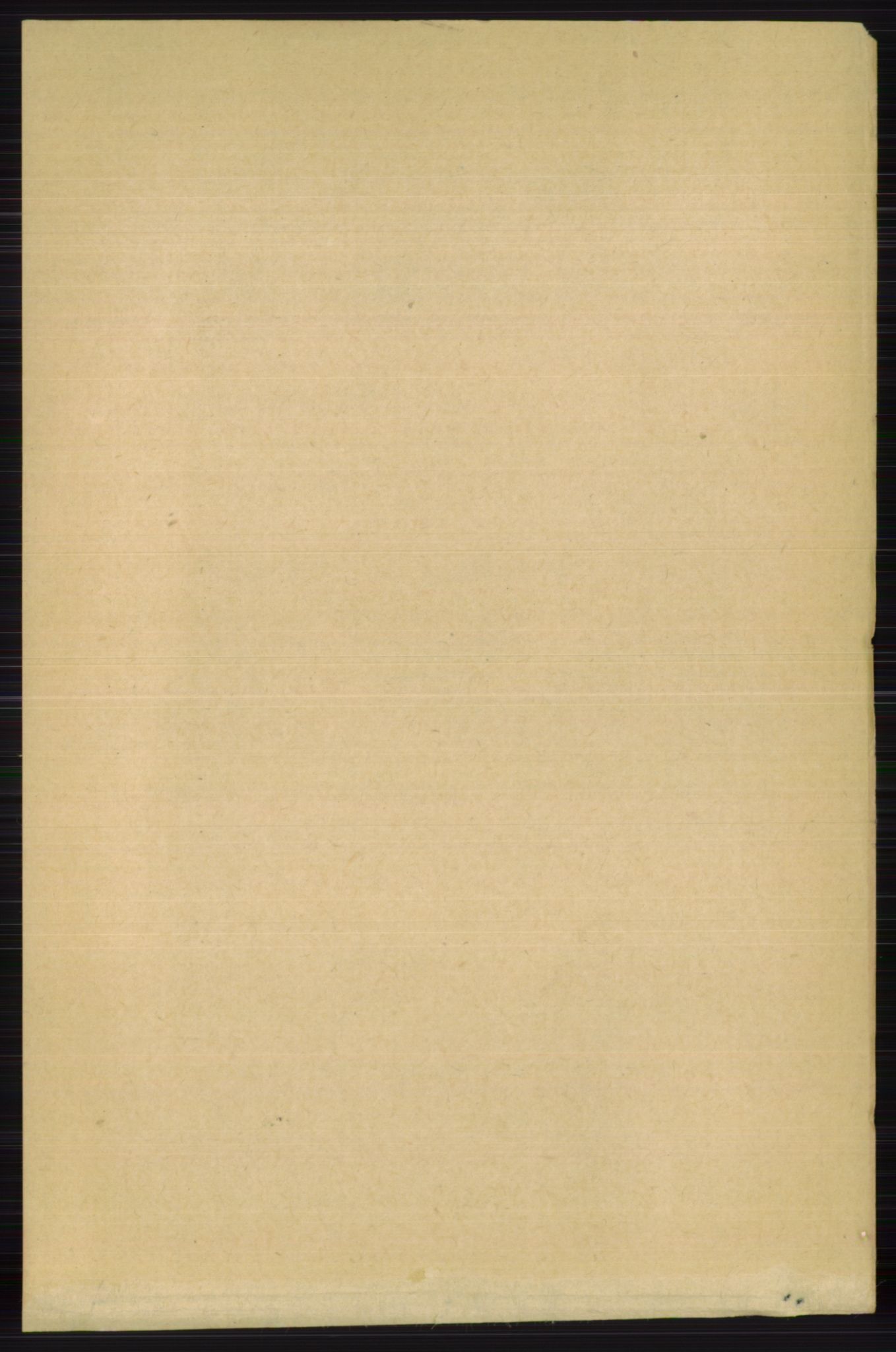 RA, Folketelling 1891 for 0626 Lier herred, 1891, s. 4524