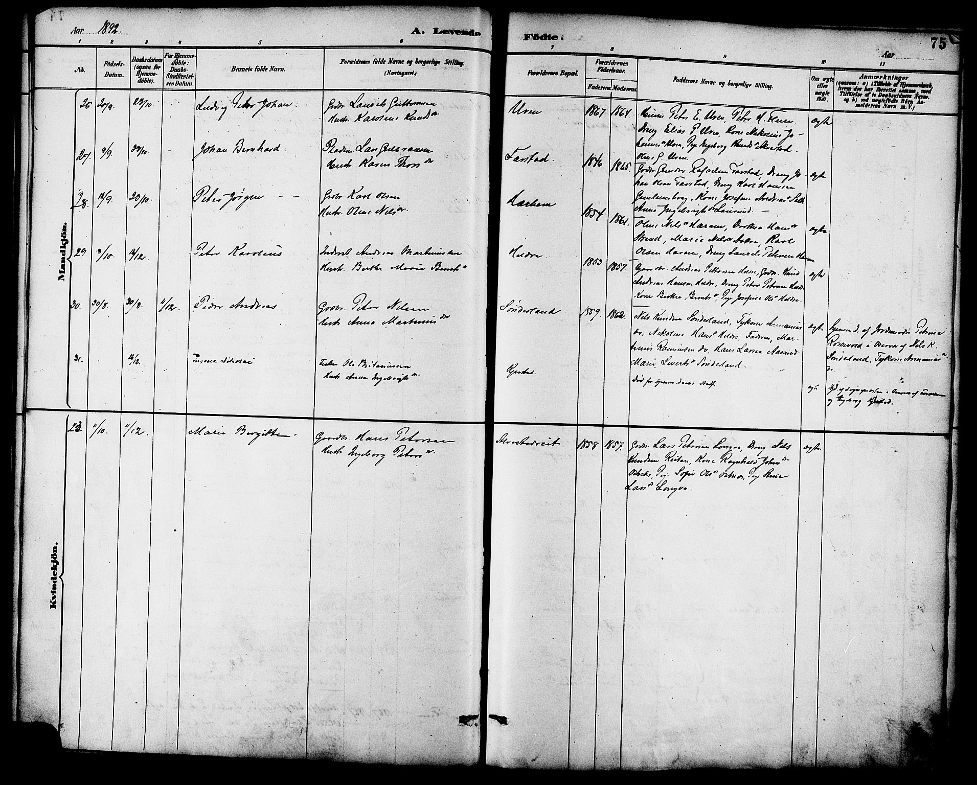 Ministerialprotokoller, klokkerbøker og fødselsregistre - Møre og Romsdal, AV/SAT-A-1454/536/L0501: Ministerialbok nr. 536A10, 1884-1896, s. 75