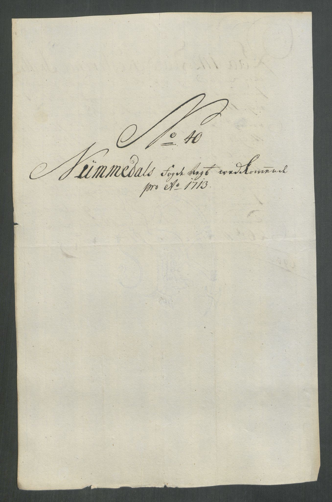 Rentekammeret inntil 1814, Reviderte regnskaper, Fogderegnskap, AV/RA-EA-4092/R64/L4434: Fogderegnskap Namdal, 1713, s. 248