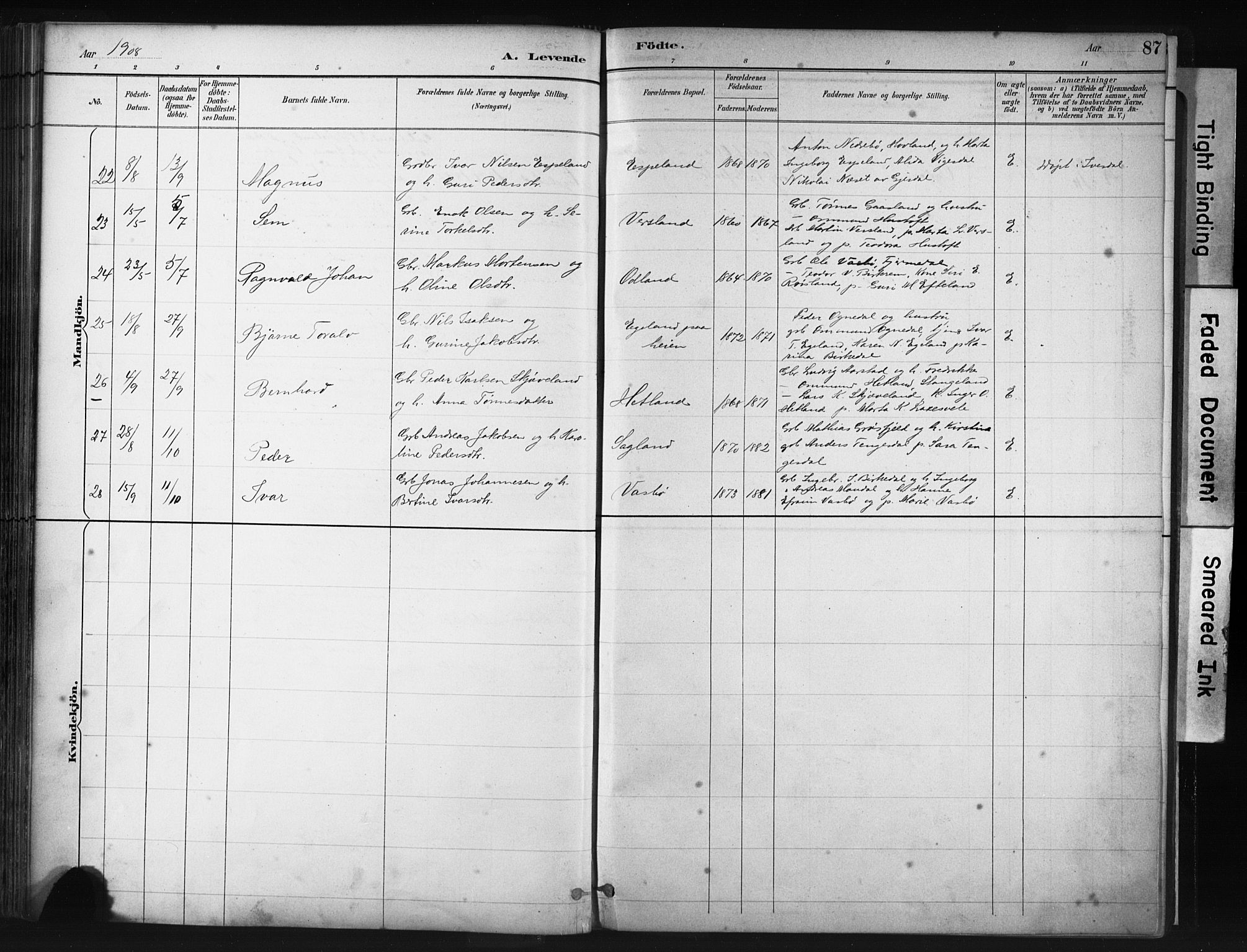 Helleland sokneprestkontor, AV/SAST-A-101810: Ministerialbok nr. A 9, 1887-1908, s. 87