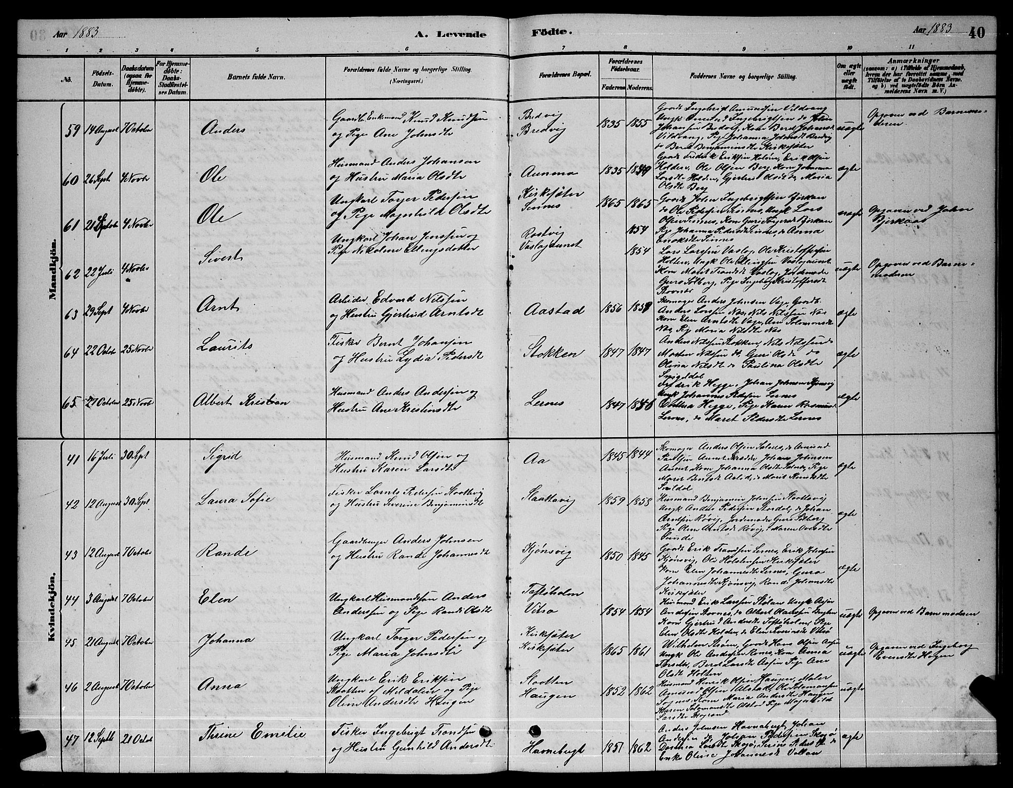 Ministerialprotokoller, klokkerbøker og fødselsregistre - Sør-Trøndelag, SAT/A-1456/630/L0504: Klokkerbok nr. 630C02, 1879-1898, s. 40