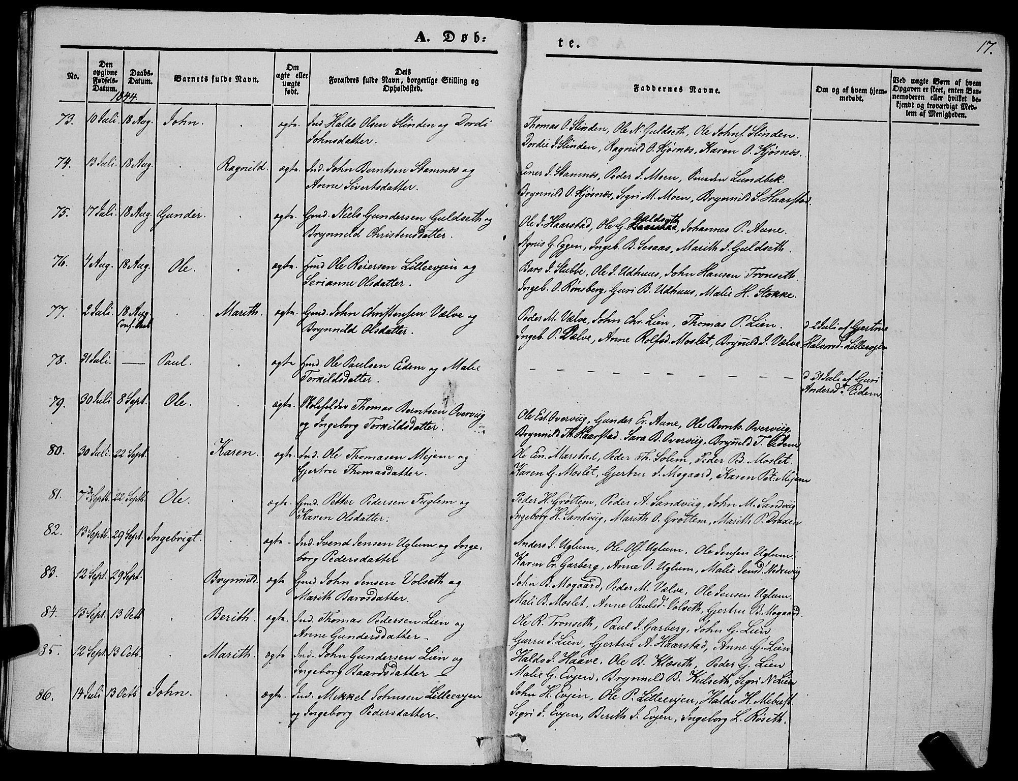 Ministerialprotokoller, klokkerbøker og fødselsregistre - Sør-Trøndelag, SAT/A-1456/695/L1145: Ministerialbok nr. 695A06 /1, 1843-1859, s. 17