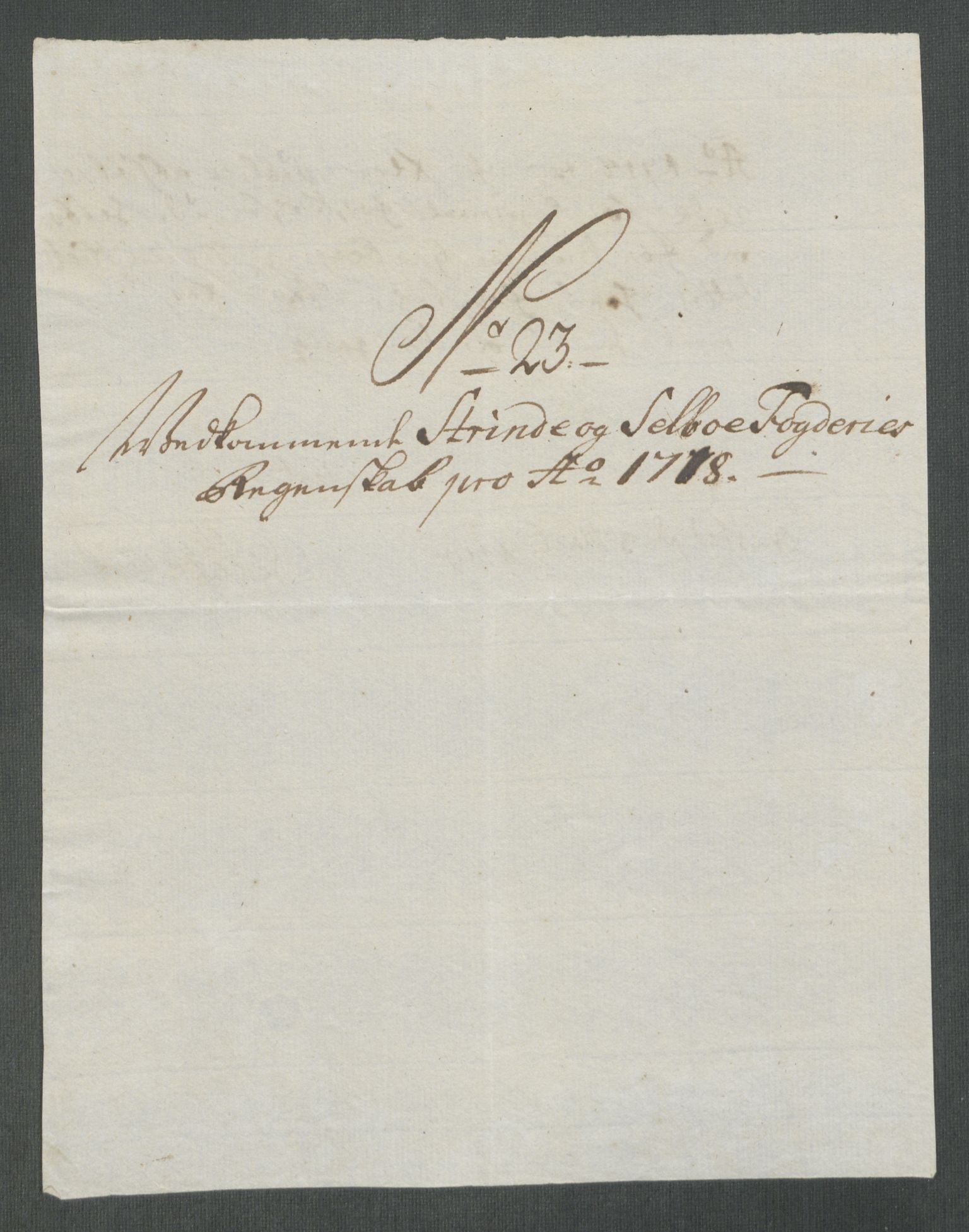 Rentekammeret inntil 1814, Reviderte regnskaper, Fogderegnskap, RA/EA-4092/R61/L4116: Fogderegnskap Strinda og Selbu, 1717-1718, s. 460