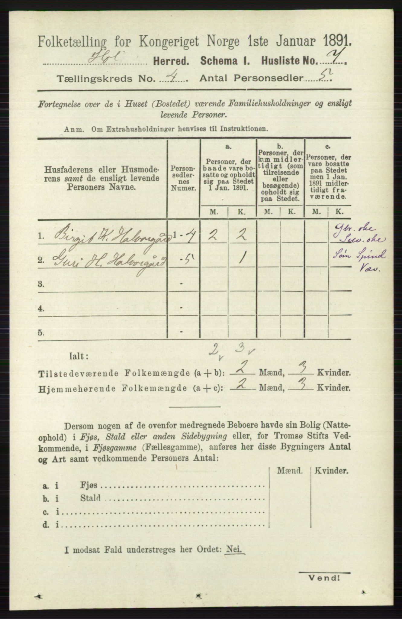 RA, Folketelling 1891 for 0620 Hol herred, 1891, s. 1232