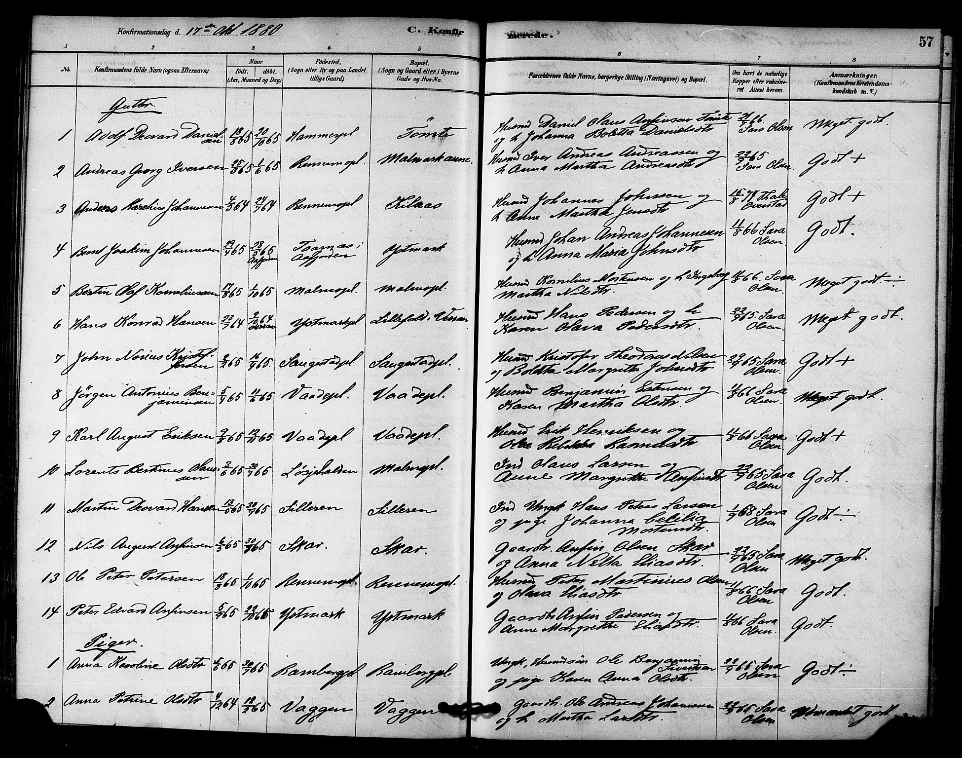 Ministerialprotokoller, klokkerbøker og fødselsregistre - Nord-Trøndelag, AV/SAT-A-1458/745/L0429: Ministerialbok nr. 745A01, 1878-1894, s. 57