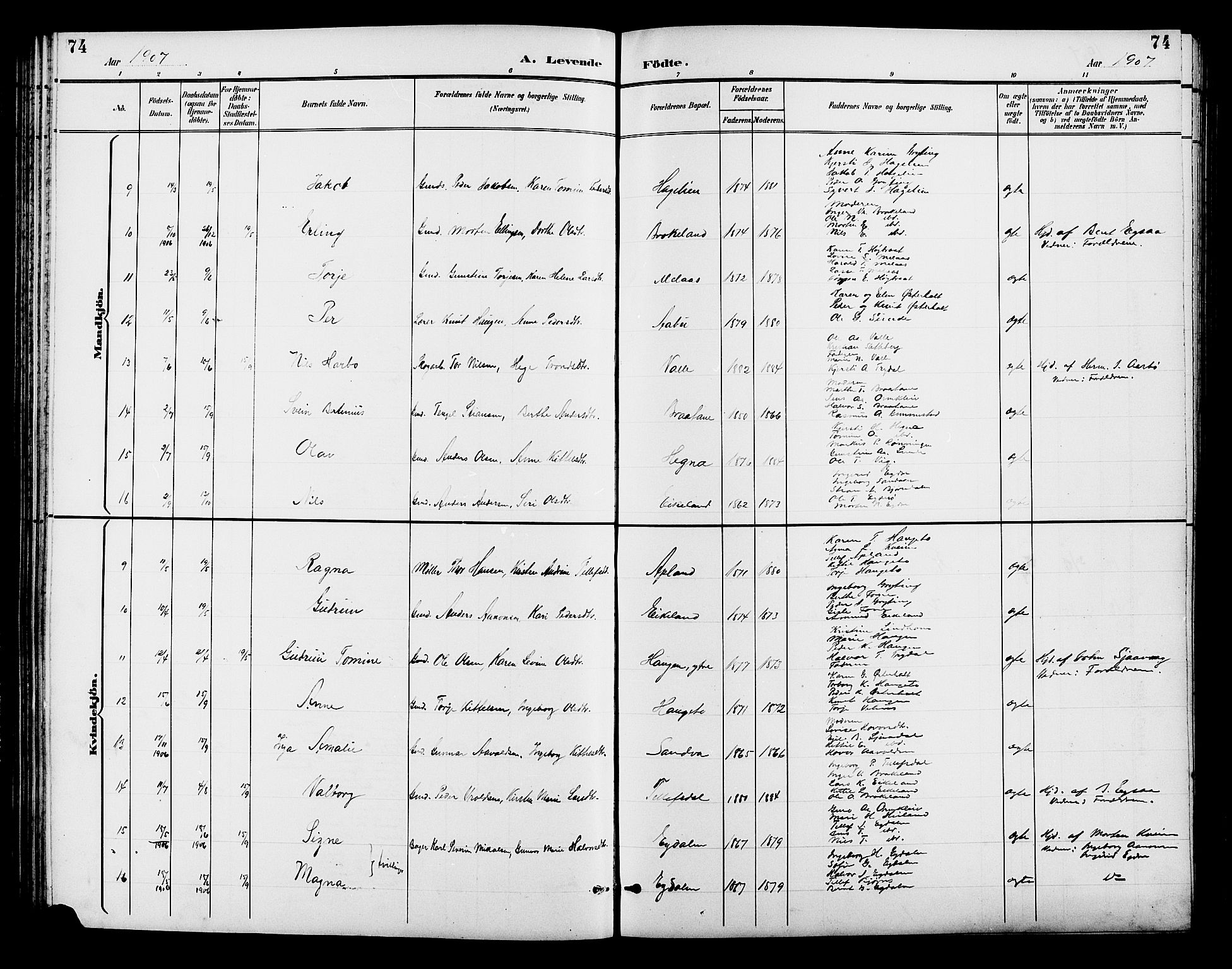 Gjerstad sokneprestkontor, AV/SAK-1111-0014/F/Fb/Fba/L0007: Klokkerbok nr. B 7, 1891-1908, s. 74