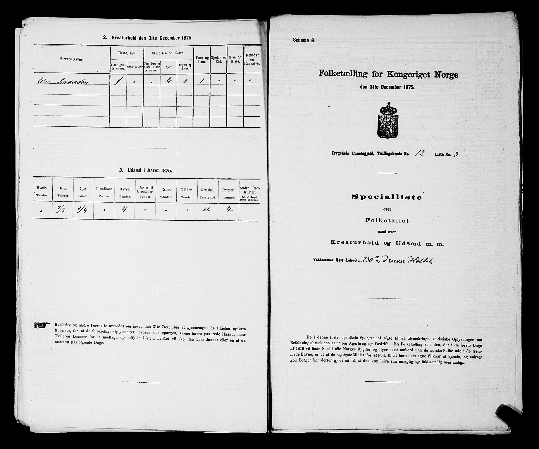 RA, Folketelling 1875 for 0122P Trøgstad prestegjeld, 1875, s. 1318