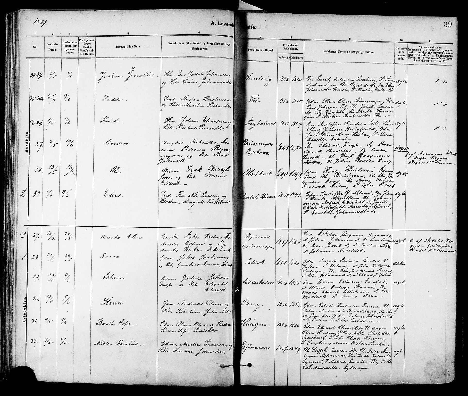 Ministerialprotokoller, klokkerbøker og fødselsregistre - Sør-Trøndelag, AV/SAT-A-1456/647/L0634: Ministerialbok nr. 647A01, 1885-1896, s. 39