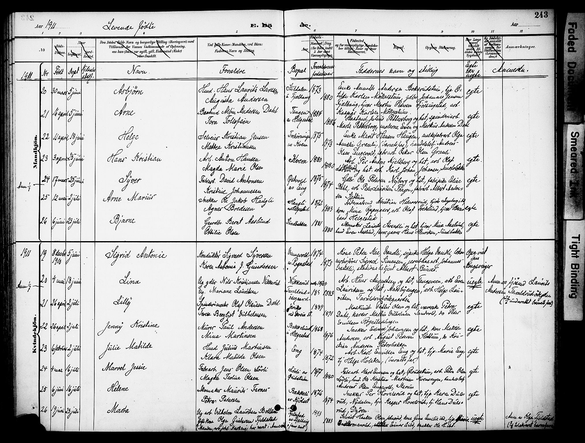 Østre Toten prestekontor, AV/SAH-PREST-104/H/Ha/Haa/L0009: Ministerialbok nr. 9, 1897-1913, s. 243