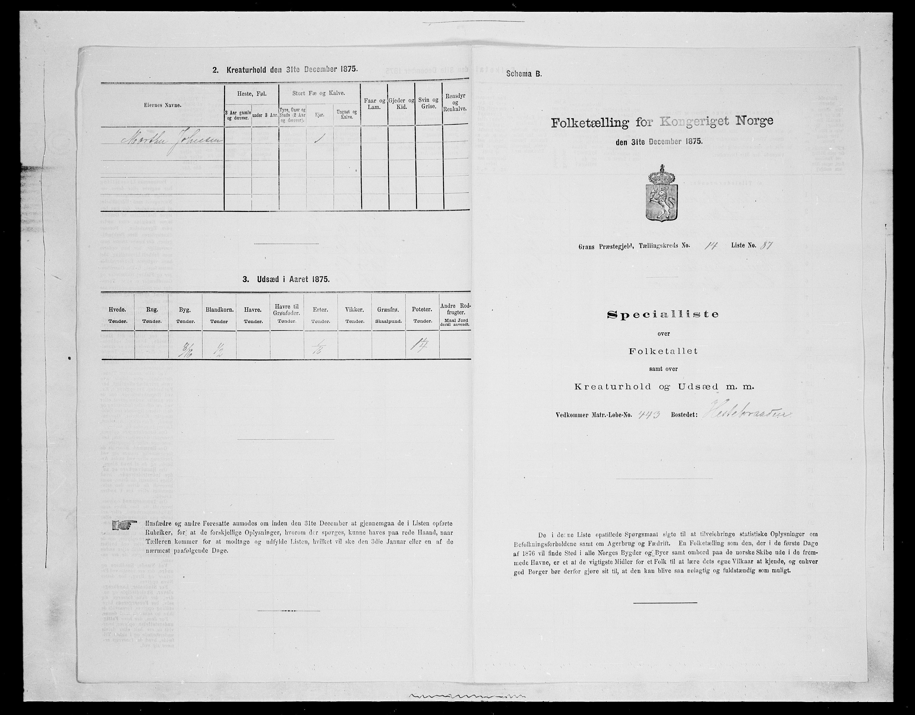 SAH, Folketelling 1875 for 0534P Gran prestegjeld, 1875, s. 2703