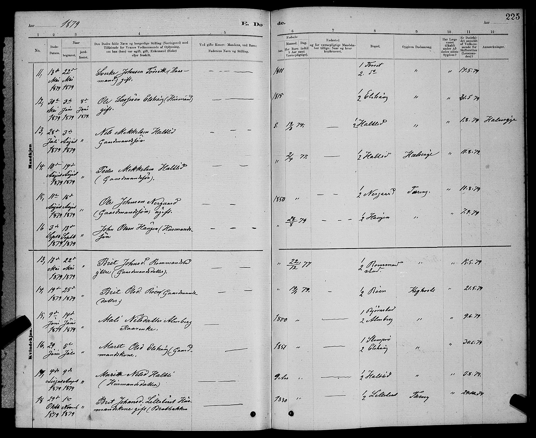 Ministerialprotokoller, klokkerbøker og fødselsregistre - Møre og Romsdal, AV/SAT-A-1454/598/L1077: Klokkerbok nr. 598C02, 1879-1891, s. 225