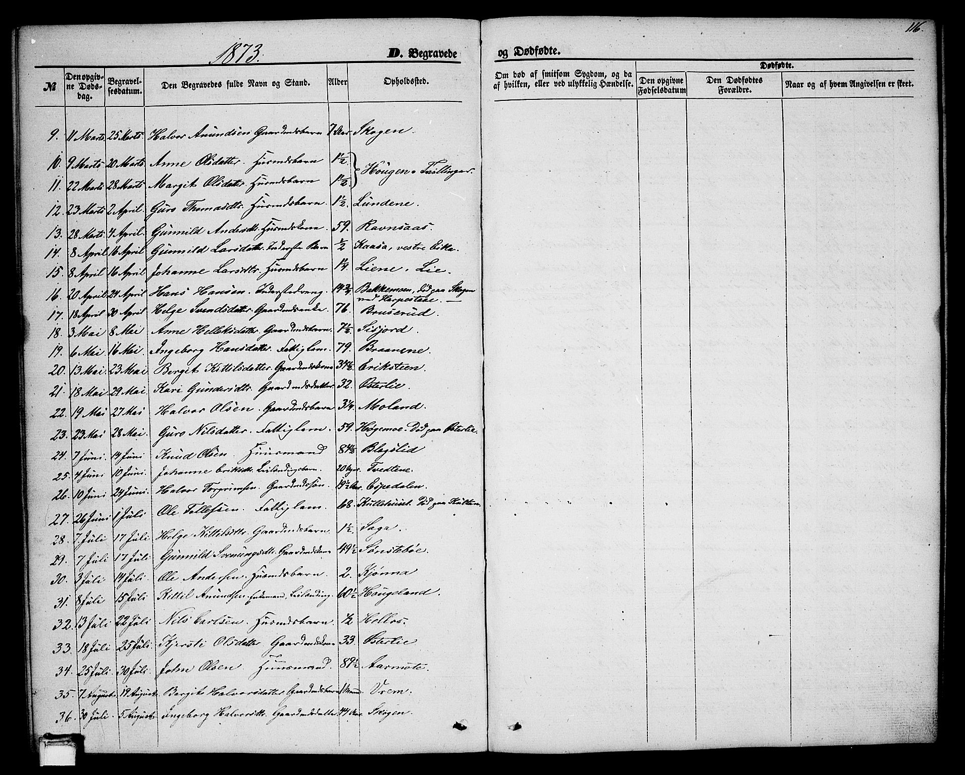 Bø kirkebøker, AV/SAKO-A-257/G/Ga/L0003: Klokkerbok nr. 3, 1866-1875, s. 116
