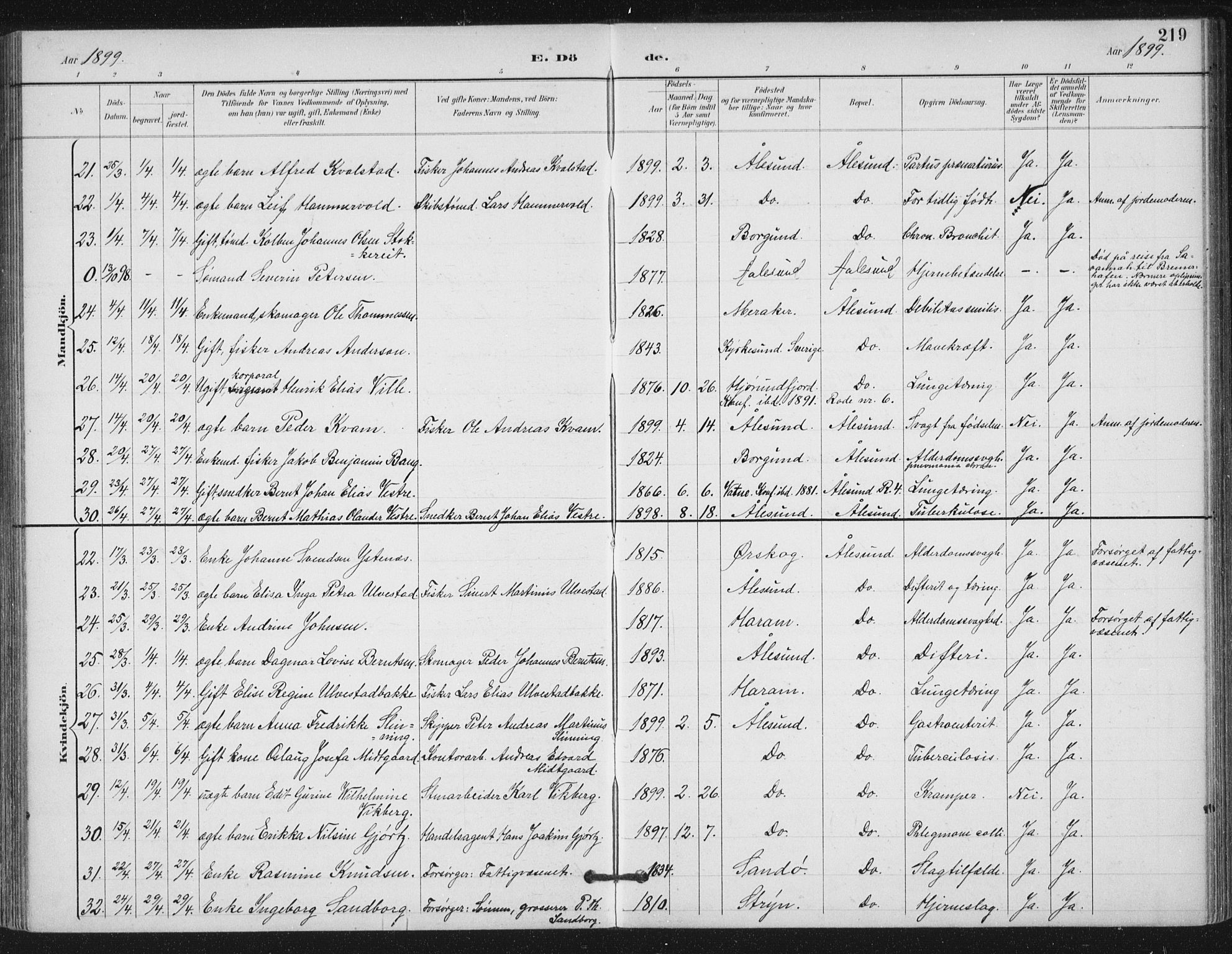 Ministerialprotokoller, klokkerbøker og fødselsregistre - Møre og Romsdal, AV/SAT-A-1454/529/L0457: Ministerialbok nr. 529A07, 1894-1903, s. 219