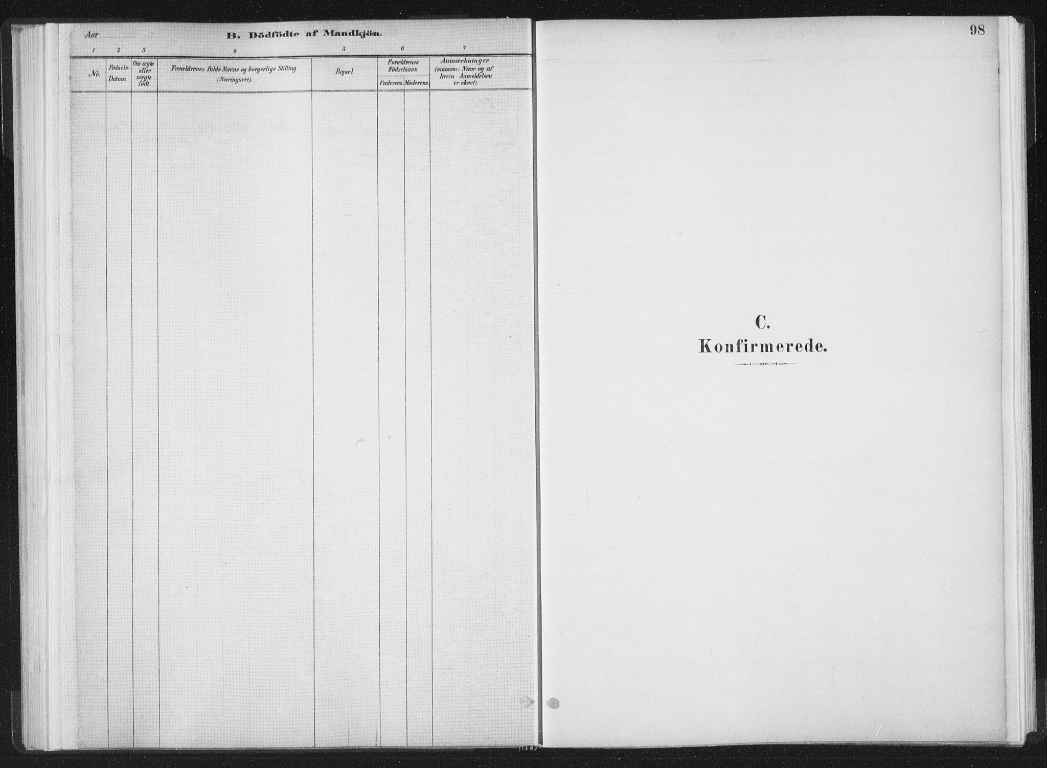 Ministerialprotokoller, klokkerbøker og fødselsregistre - Møre og Romsdal, AV/SAT-A-1454/564/L0740: Ministerialbok nr. 564A01, 1880-1899, s. 98