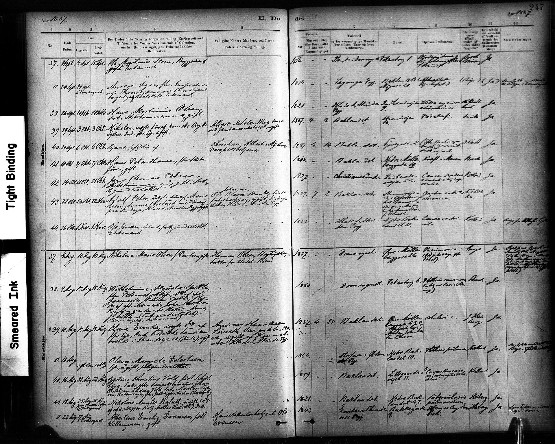 Ministerialprotokoller, klokkerbøker og fødselsregistre - Sør-Trøndelag, AV/SAT-A-1456/604/L0189: Ministerialbok nr. 604A10, 1878-1892, s. 247