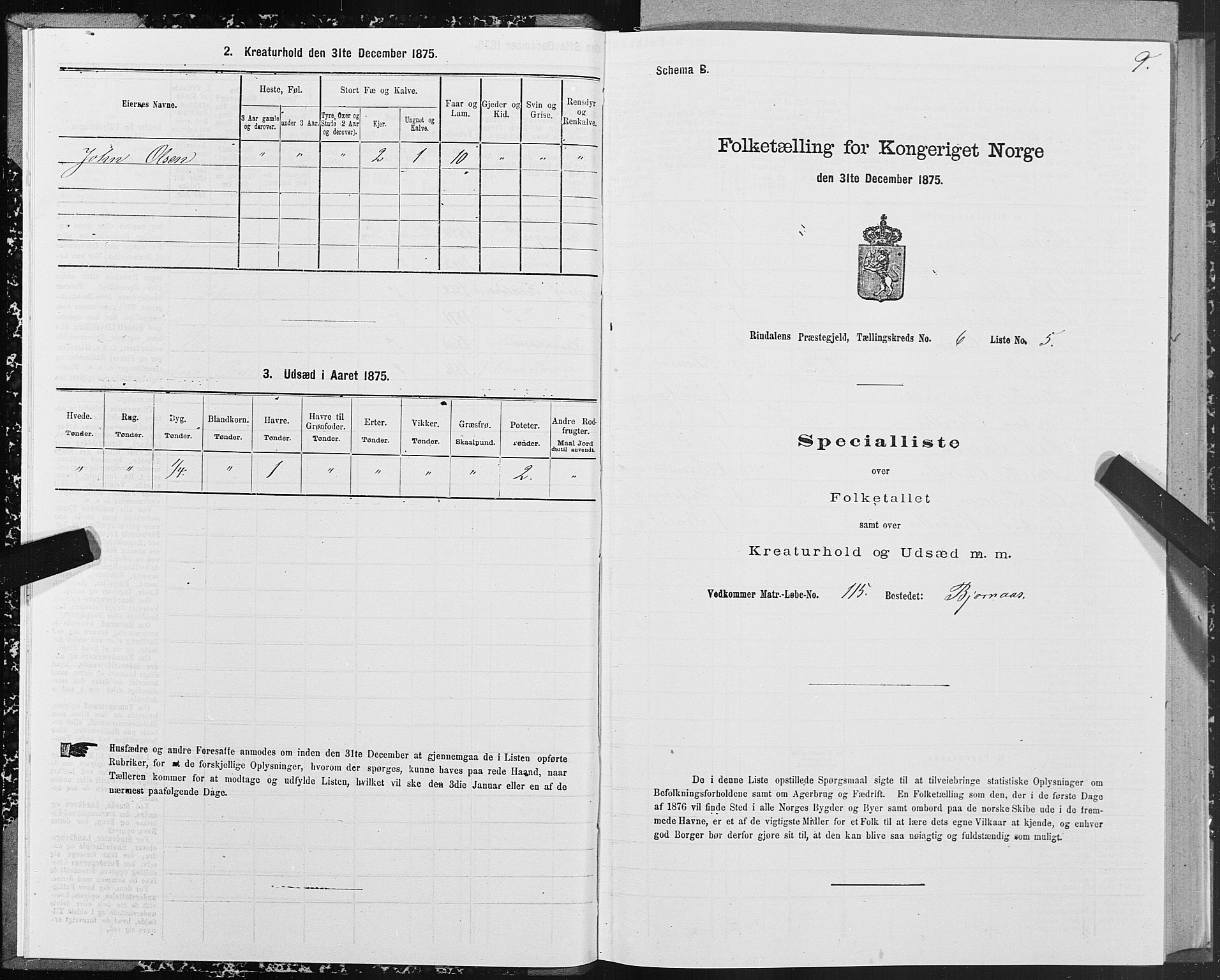 SAT, Folketelling 1875 for 1567P Rindal prestegjeld, 1875, s. 3009