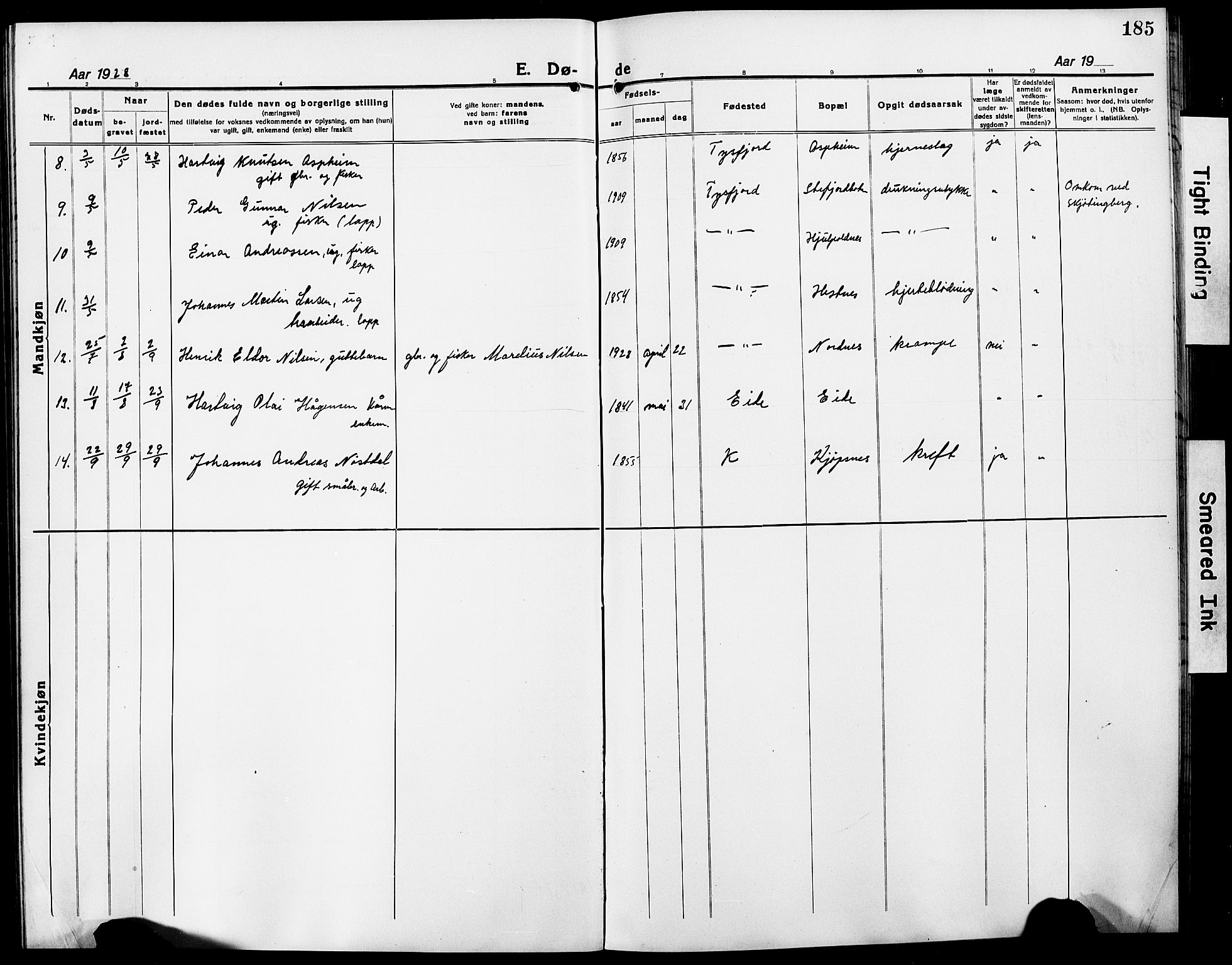 Ministerialprotokoller, klokkerbøker og fødselsregistre - Nordland, AV/SAT-A-1459/861/L0878: Klokkerbok nr. 861C04, 1917-1928, s. 185