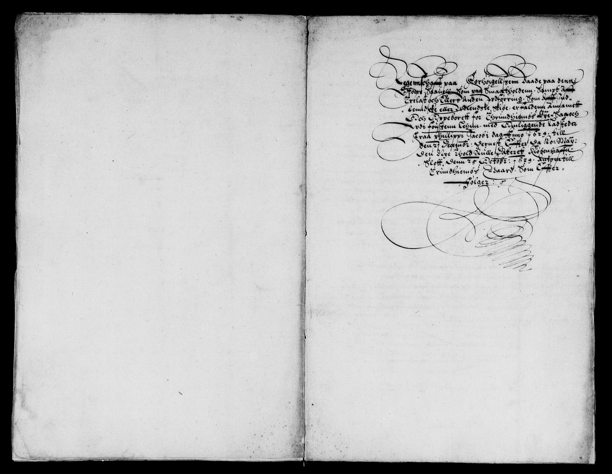 Rentekammeret inntil 1814, Reviderte regnskaper, Lensregnskaper, RA/EA-5023/R/Rb/Rbw/L0040: Trondheim len, 1629-1630