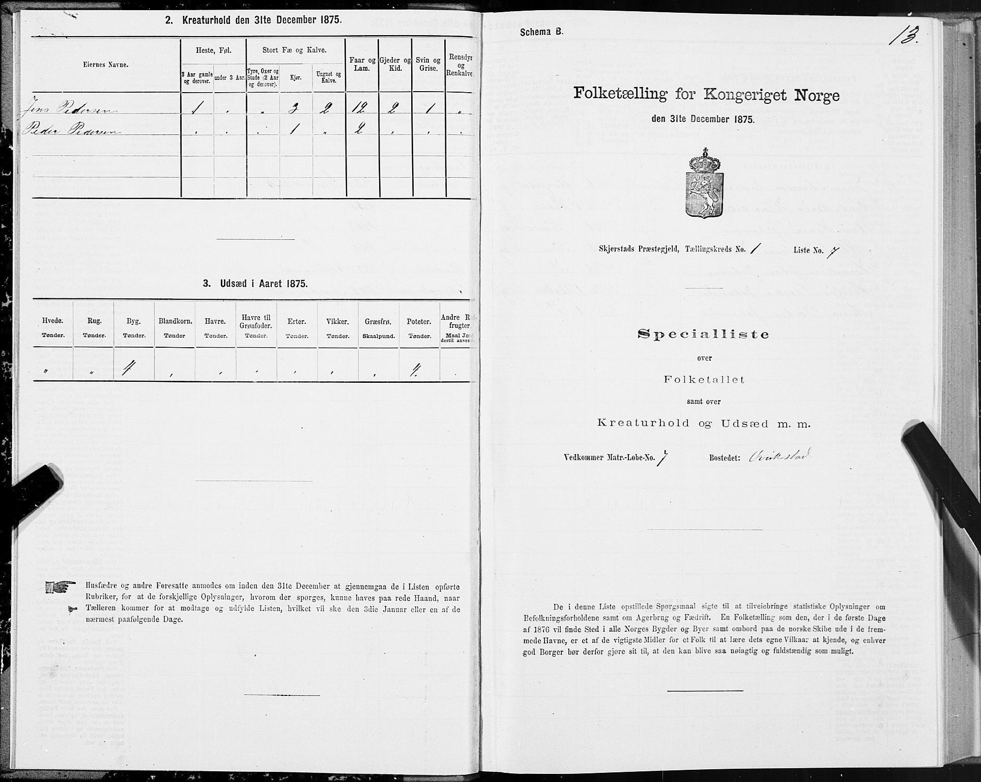 SAT, Folketelling 1875 for 1842P Skjerstad prestegjeld, 1875, s. 1013