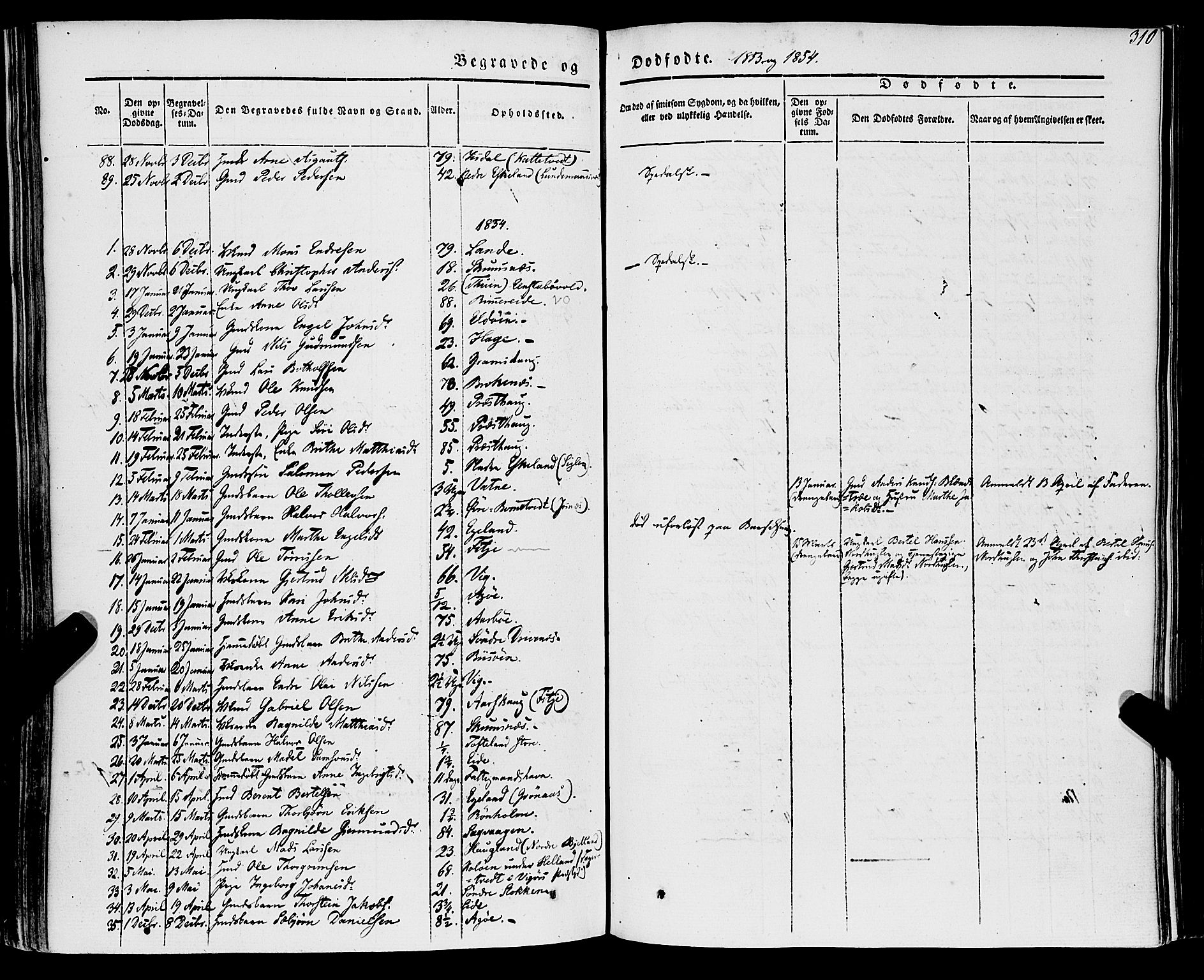 Stord sokneprestembete, AV/SAB-A-78201/H/Haa: Ministerialbok nr. A 7, 1841-1861, s. 310