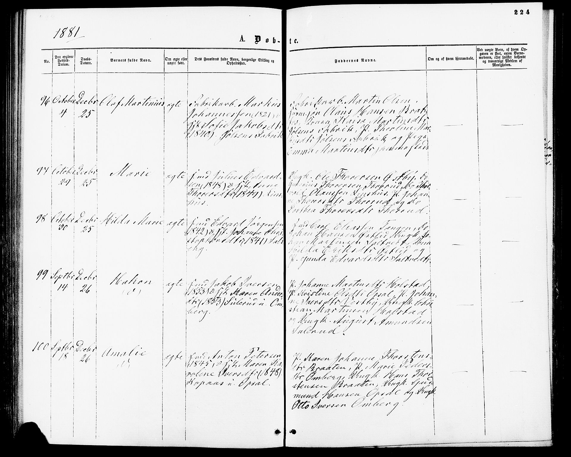 Enebakk prestekontor Kirkebøker, SAO/A-10171c/F/Fa/L0011: Ministerialbok nr. I 11, 1862-1882, s. 224