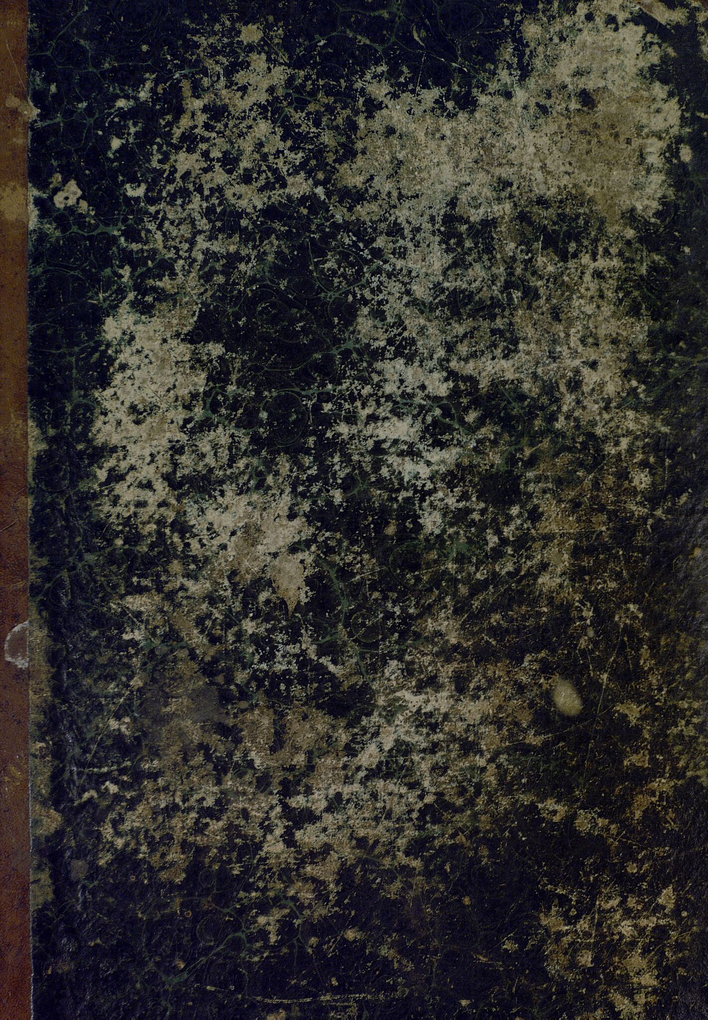 Stryn kommune. Formannskapet, VLFK/K-14491.150/100/L0001: møtebok for kommunestyret og formannskapet i Stryn kommune, 1844-1877
