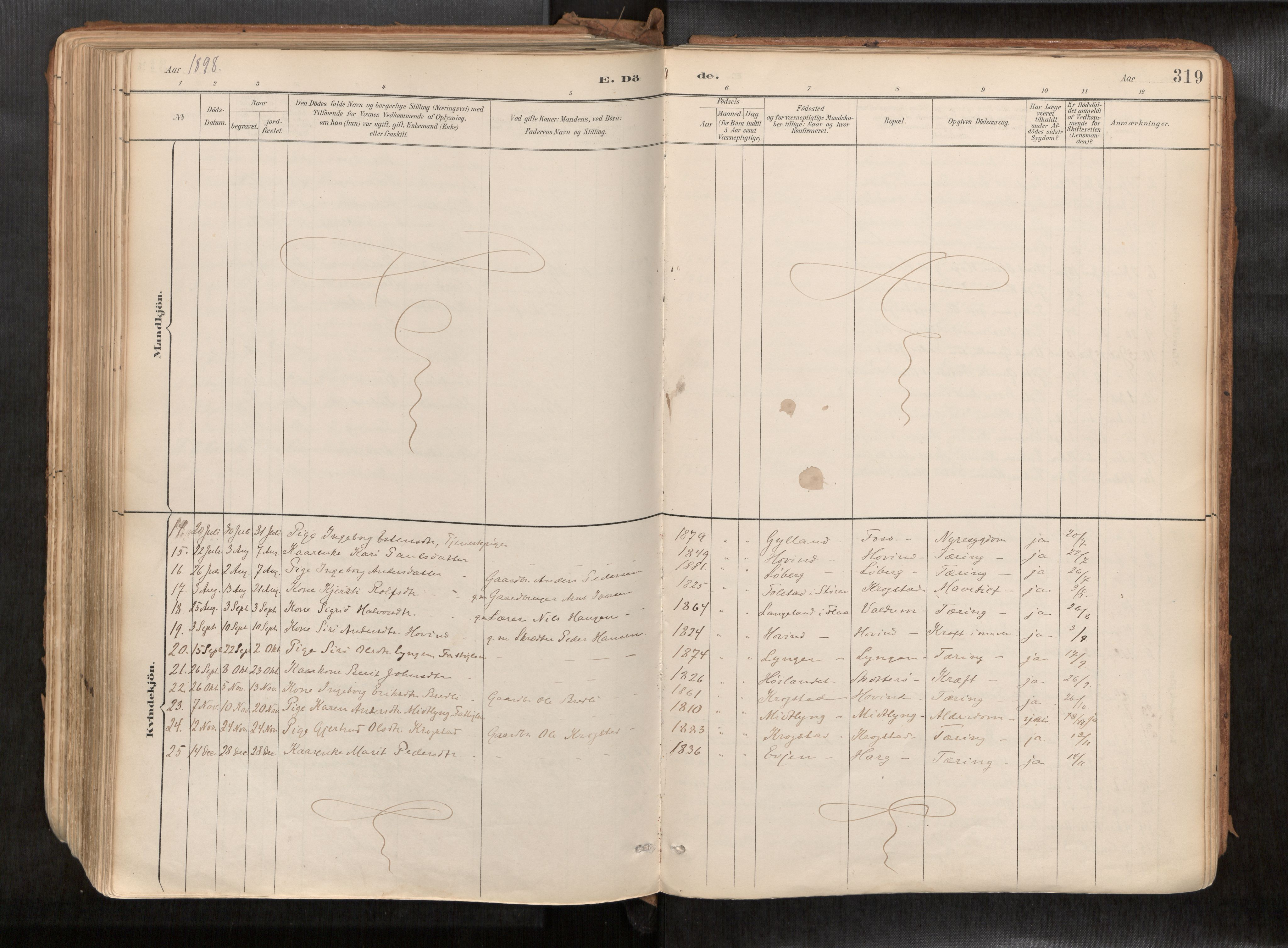 Ministerialprotokoller, klokkerbøker og fødselsregistre - Sør-Trøndelag, AV/SAT-A-1456/692/L1105b: Ministerialbok nr. 692A06, 1891-1934, s. 319