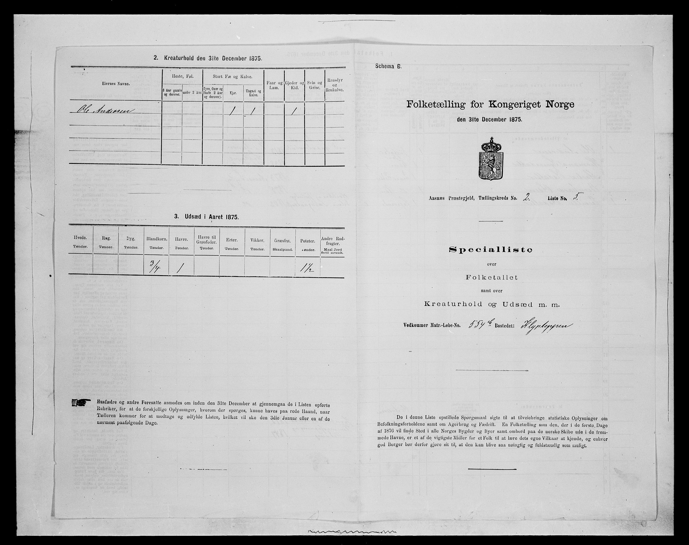 SAH, Folketelling 1875 for 0425P Åsnes prestegjeld, 1875, s. 159